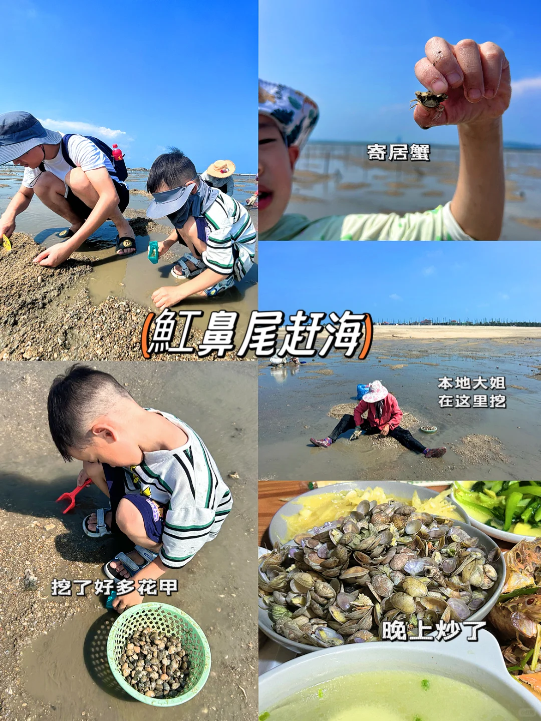 我宣布❗️这里炒鸡适🈴️亲子游,攻略快🐎