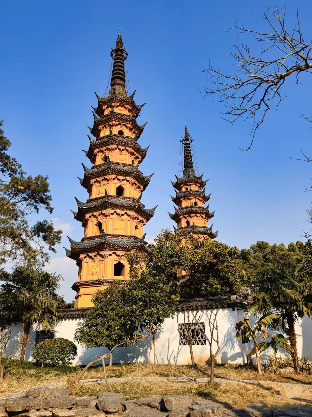 苏州春天的浪漫🌸不止公园！更是满大街小巷！