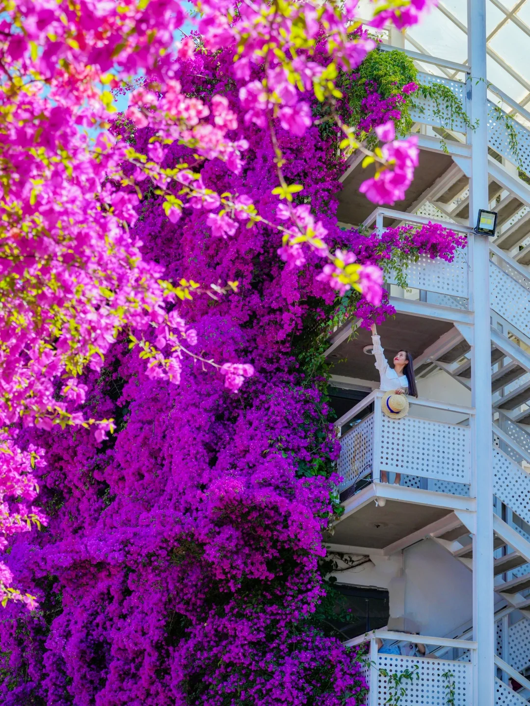 人生建议：春天一定要去趟昆明！附赏花攻略💐