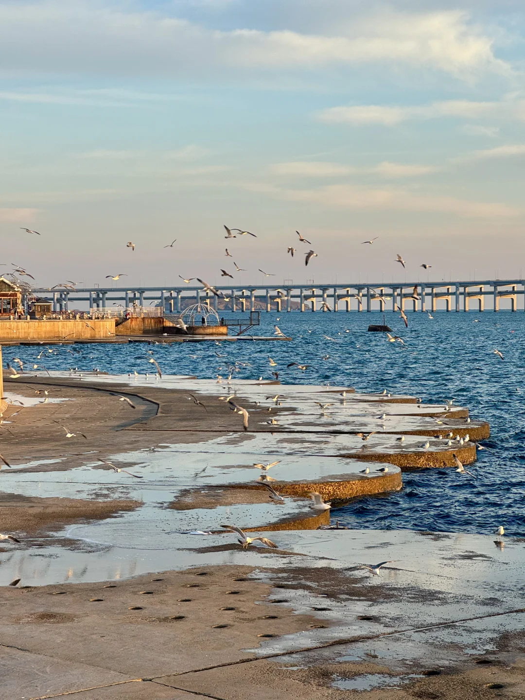 淡季的大连，live图就已经赢麻了，简直就是.