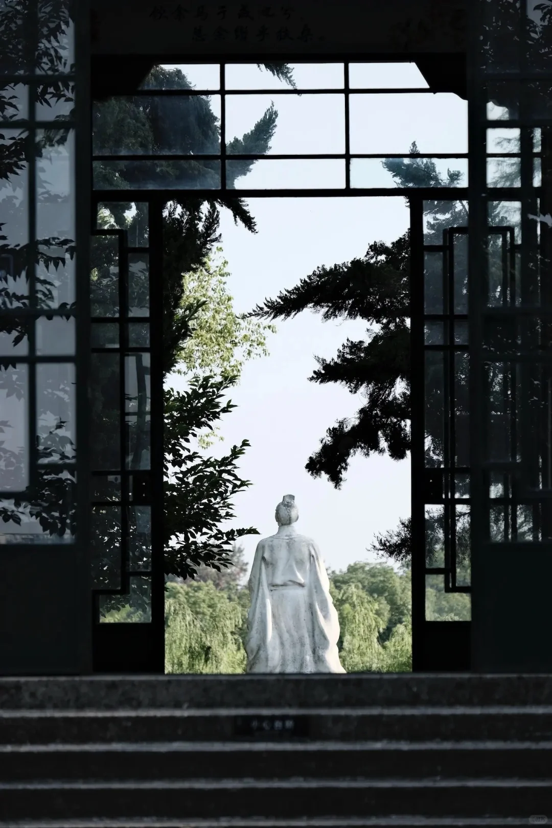 ｜武汉东湖公园｜现实版的“暮光森林”