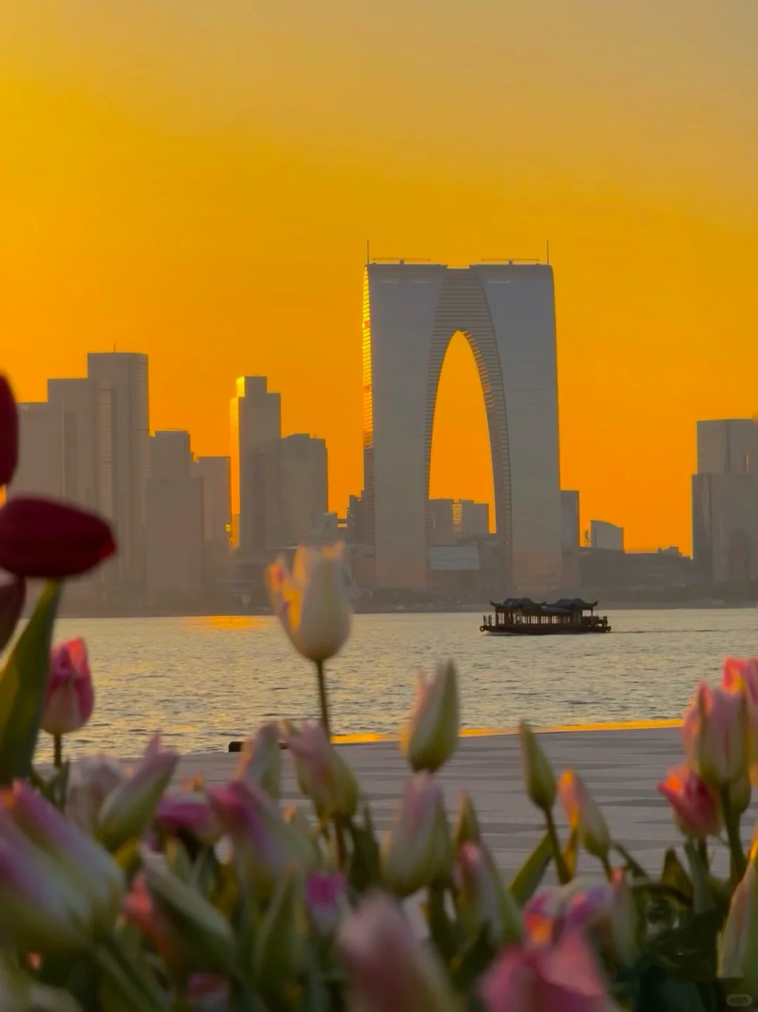 苏州春天的浪漫🌸不止公园！更是满大街小巷！