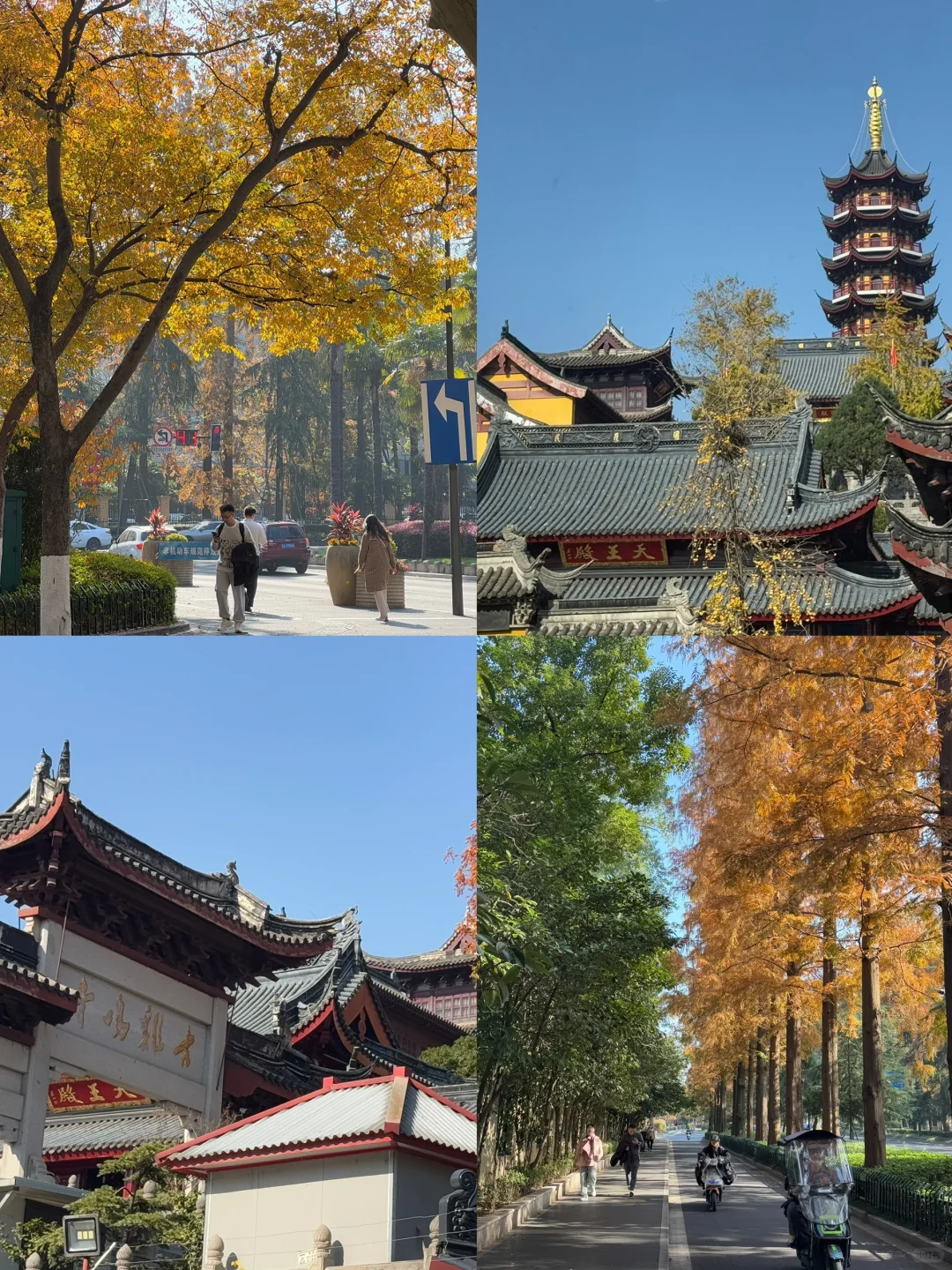 📍南京|一个人72小时特种兵攻略‼️