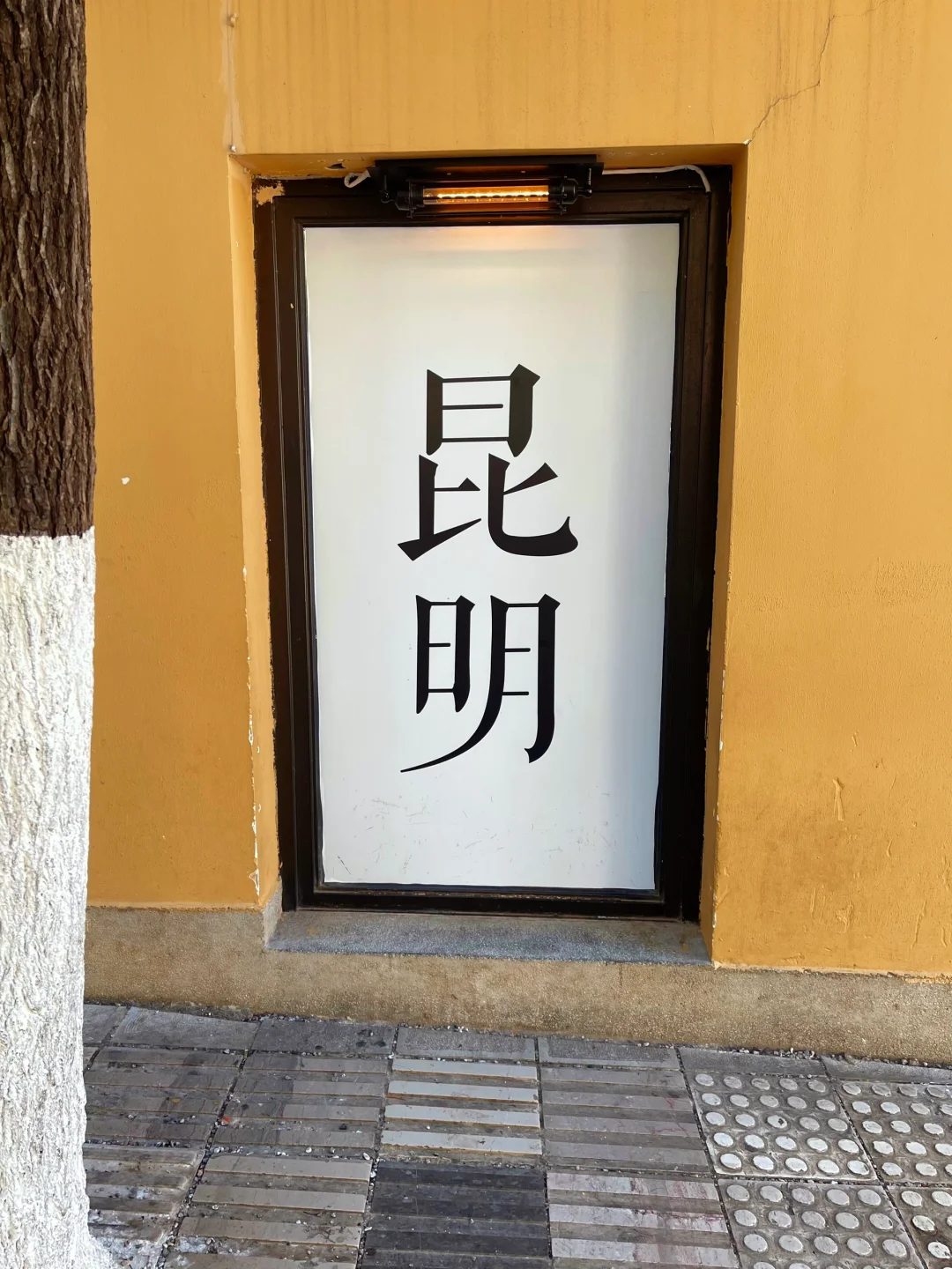 🌿昆明三天旅行攻略｜CityWalk看海鸥逛石林