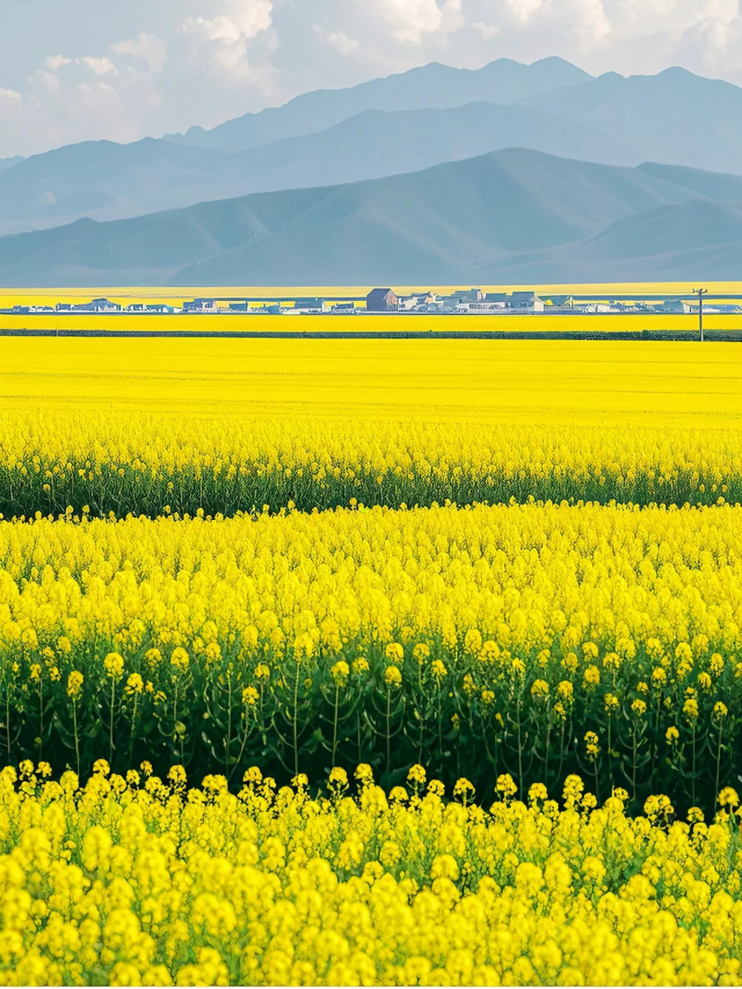 云南『封神』玩法!本地人私藏的无人花海