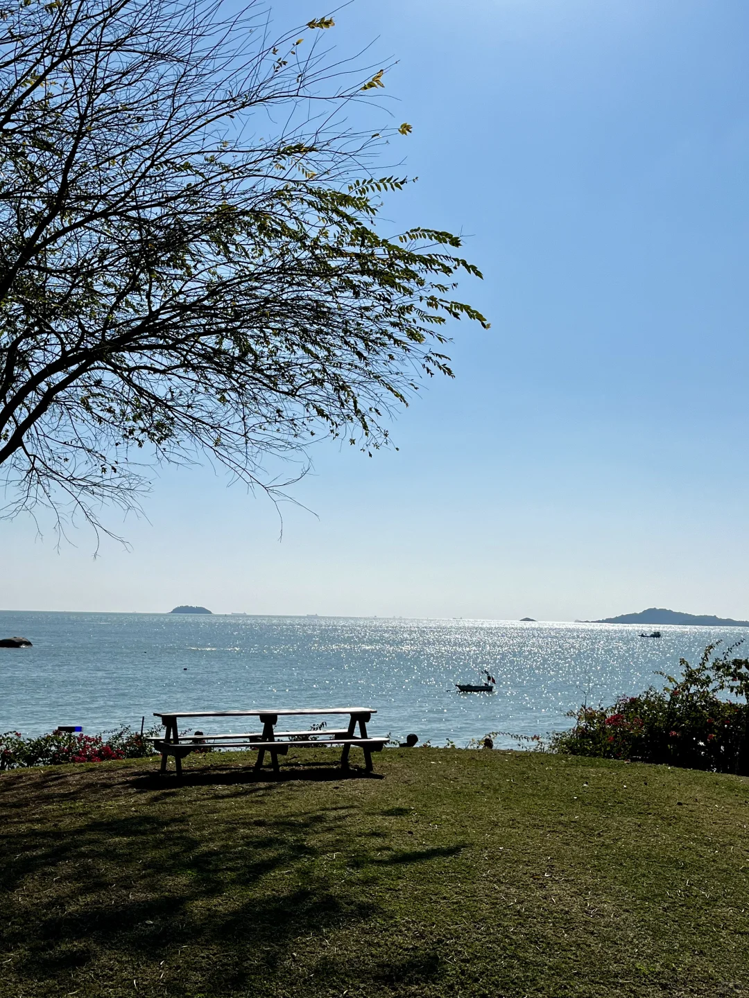 来厦门记得去！！海边citywalk美疯了（路线）