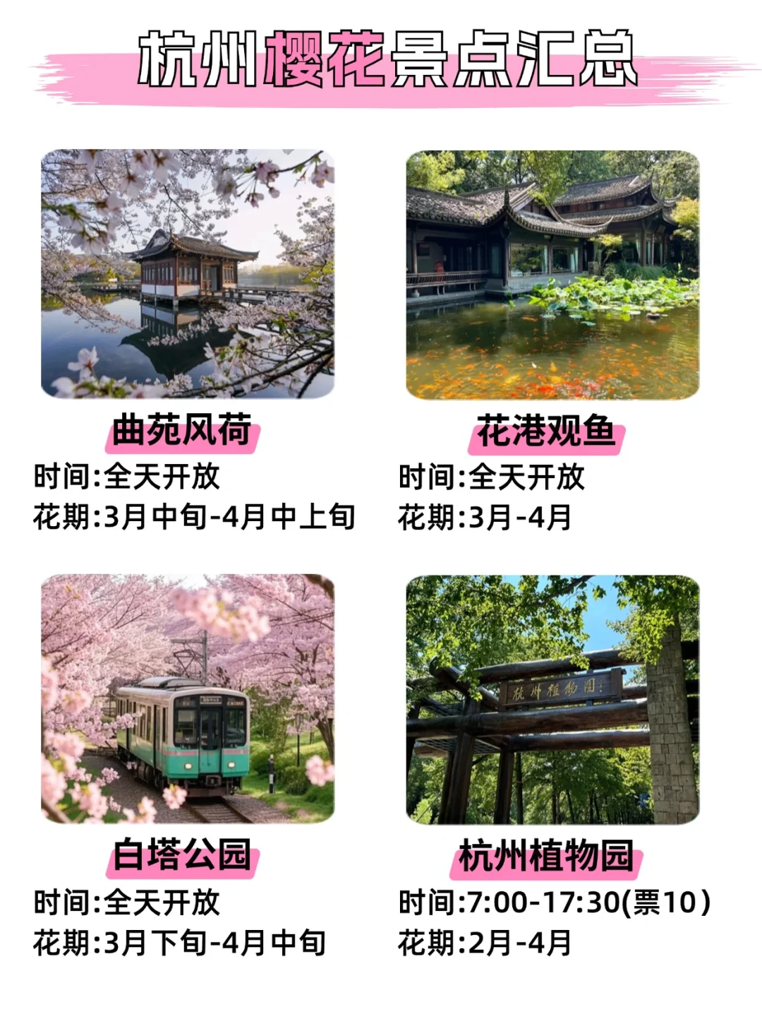 2025杭州樱花暴击🌸含详细赏花+旅游攻略❗