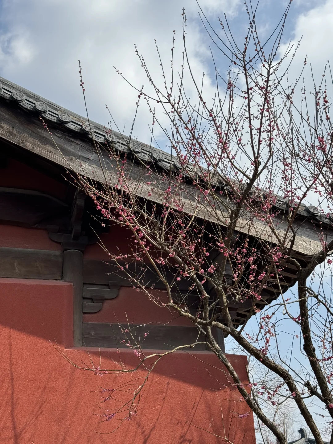 广富林遗址是松江必打卡的景点之一