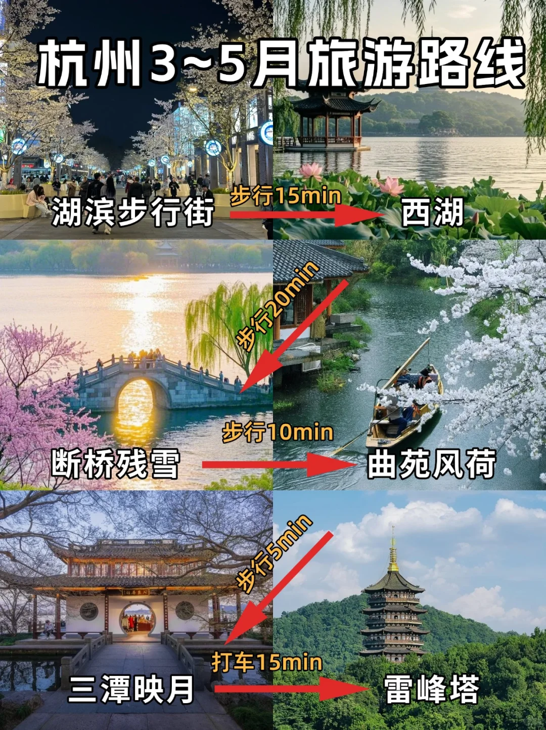 2025杭州樱花暴击🌸含详细赏花+旅游攻略❗