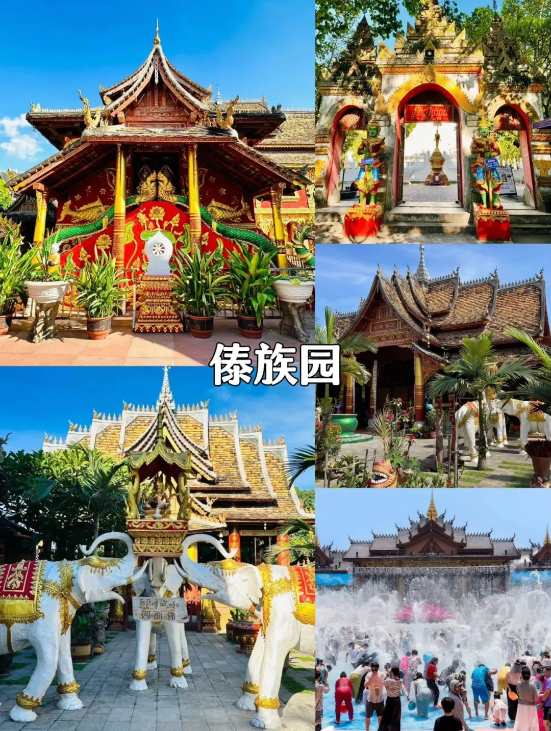 随机抽查：来西双版纳旅行你去了哪些景点❓