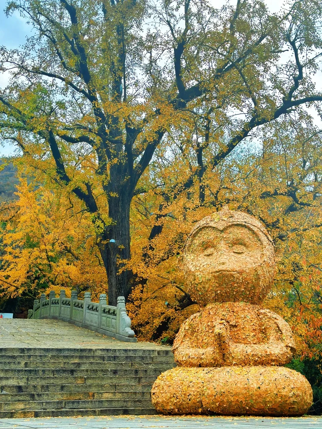 连云港不能错过的景点❗