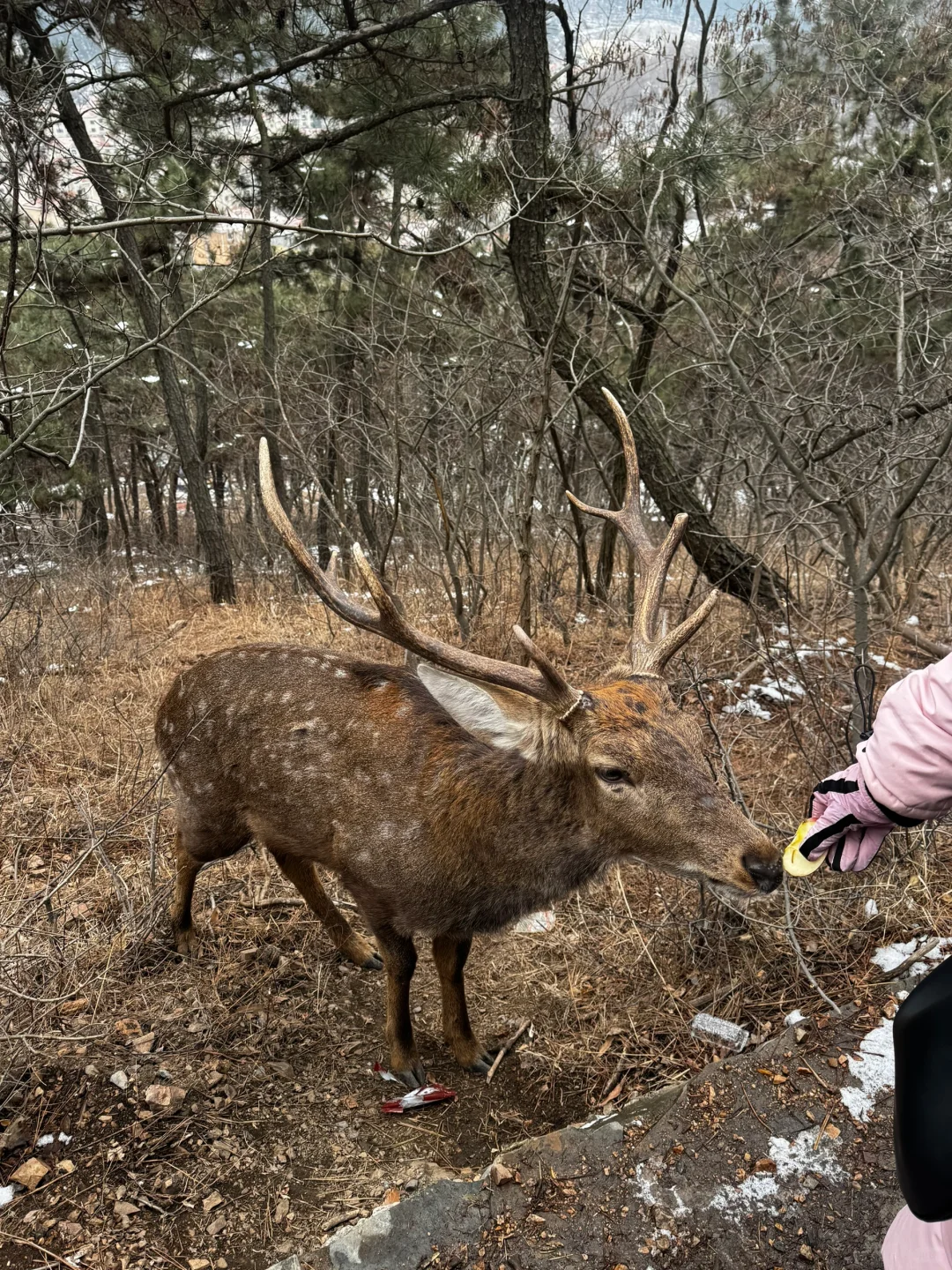 来大连一定要拍的16张人生Live图！（附地址