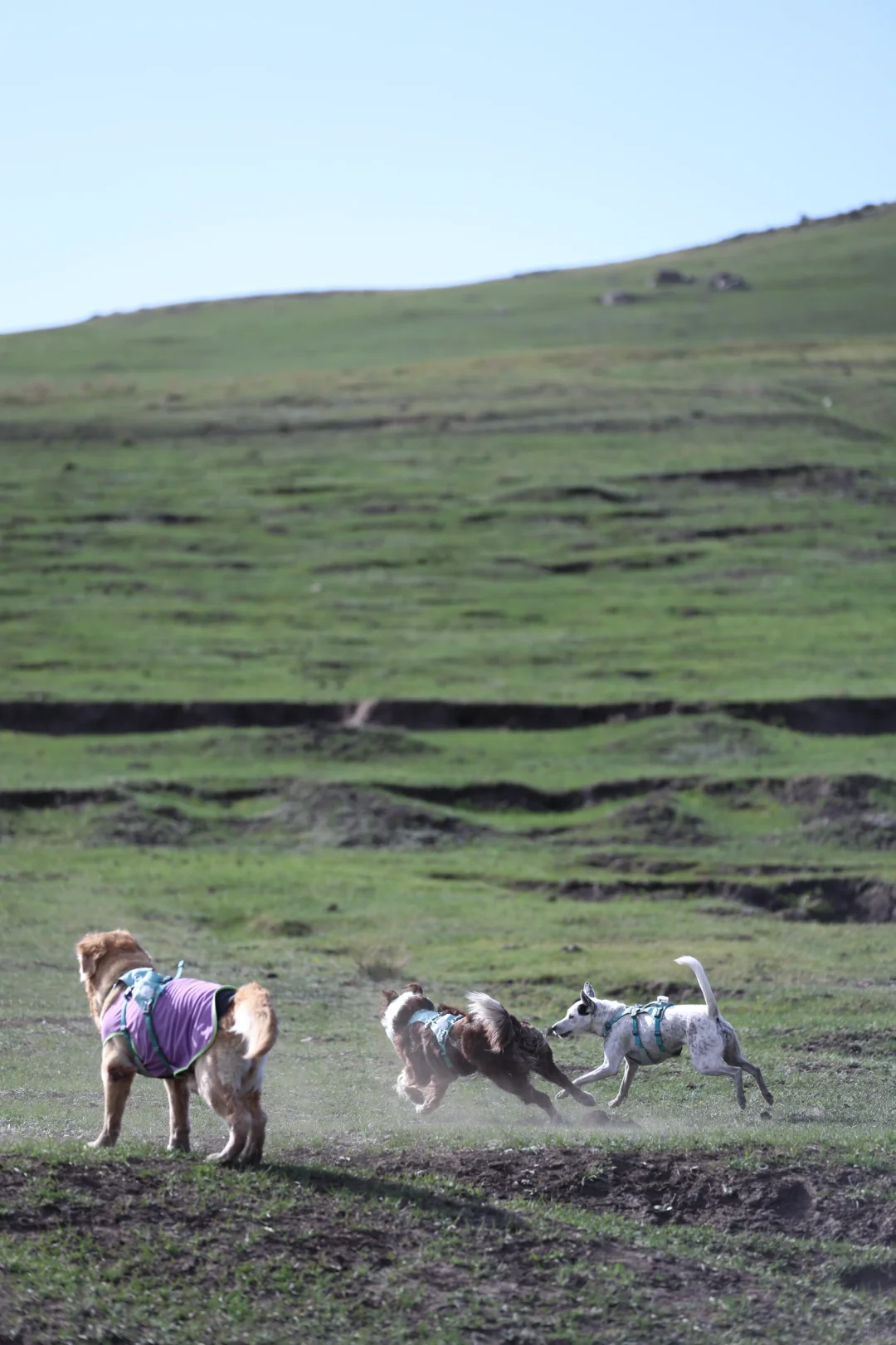 乌兰察布红石崖|整个景区只有我们的快乐