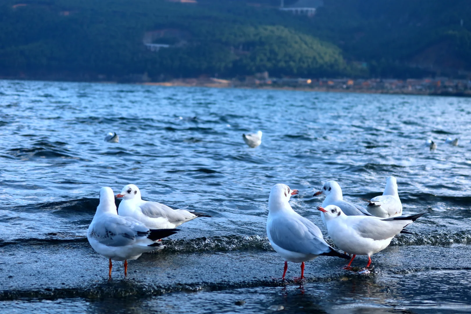 旅游是工作日的动力🥹