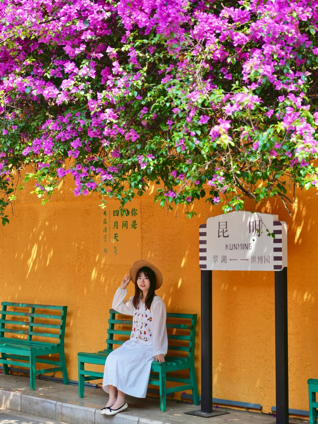 人生建议：春天一定要去趟昆明！附赏花攻略💐