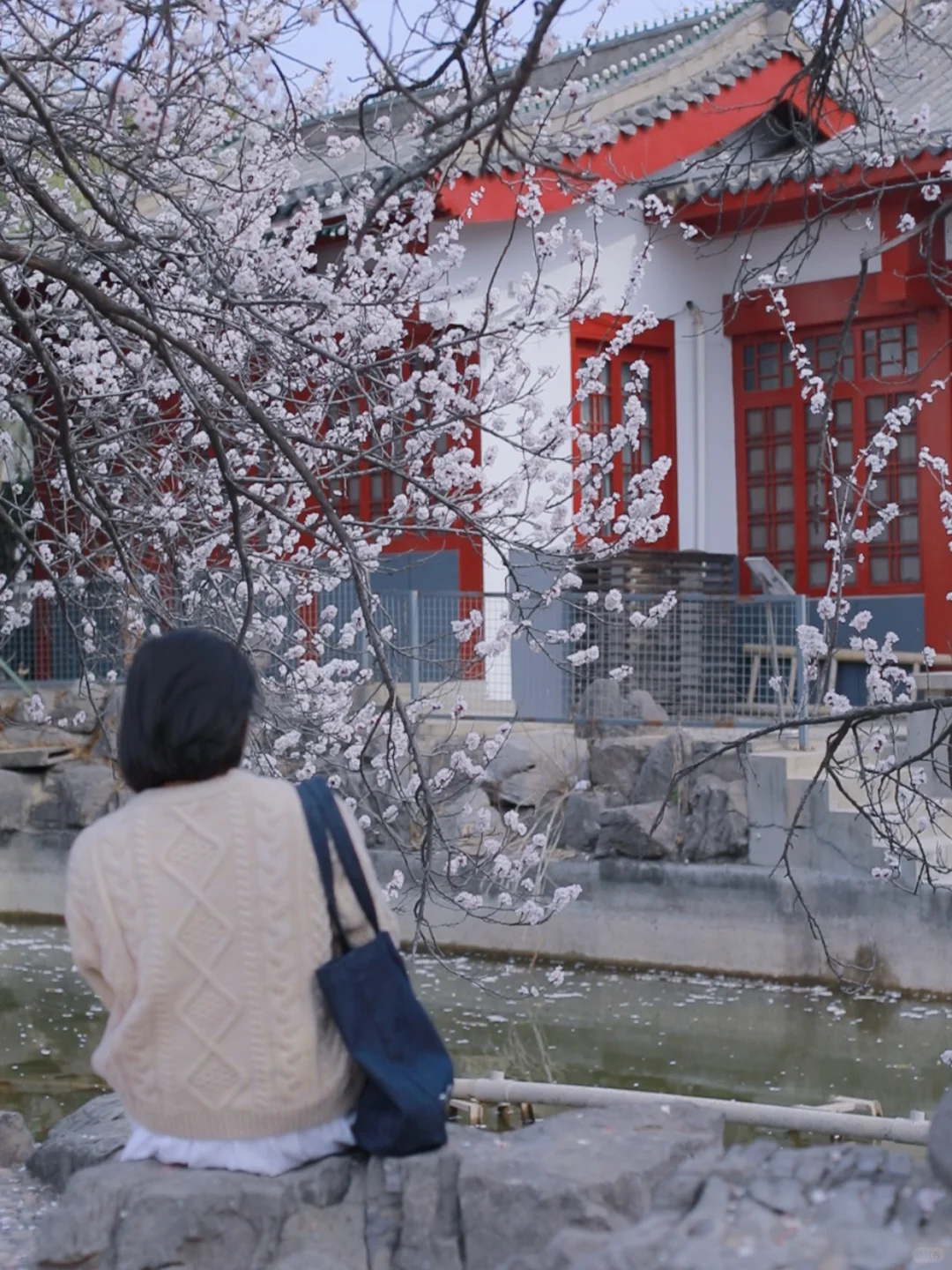 码住！郑州三月必去花海🌸top3