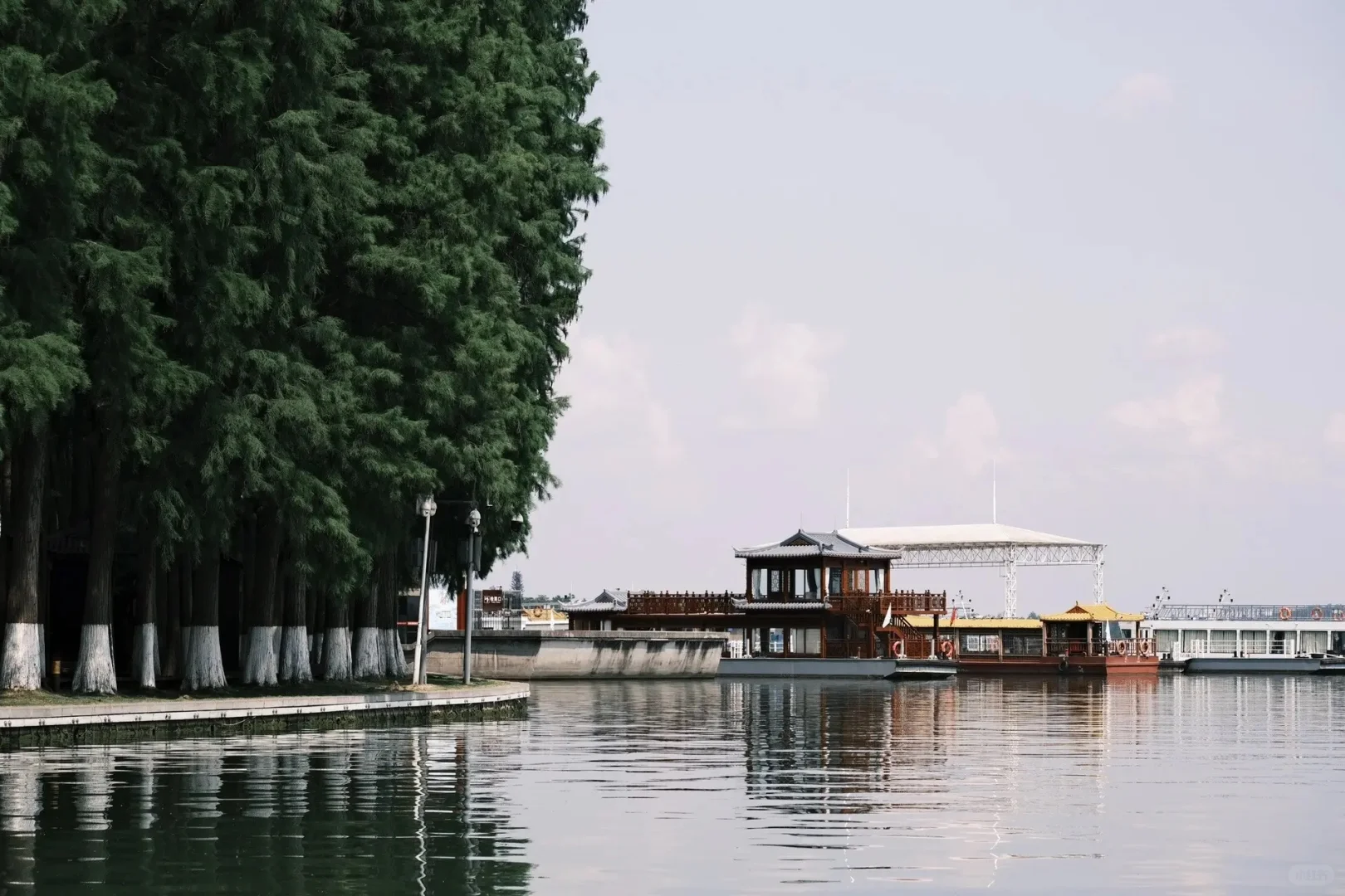 ｜武汉东湖公园｜现实版的“暮光森林”