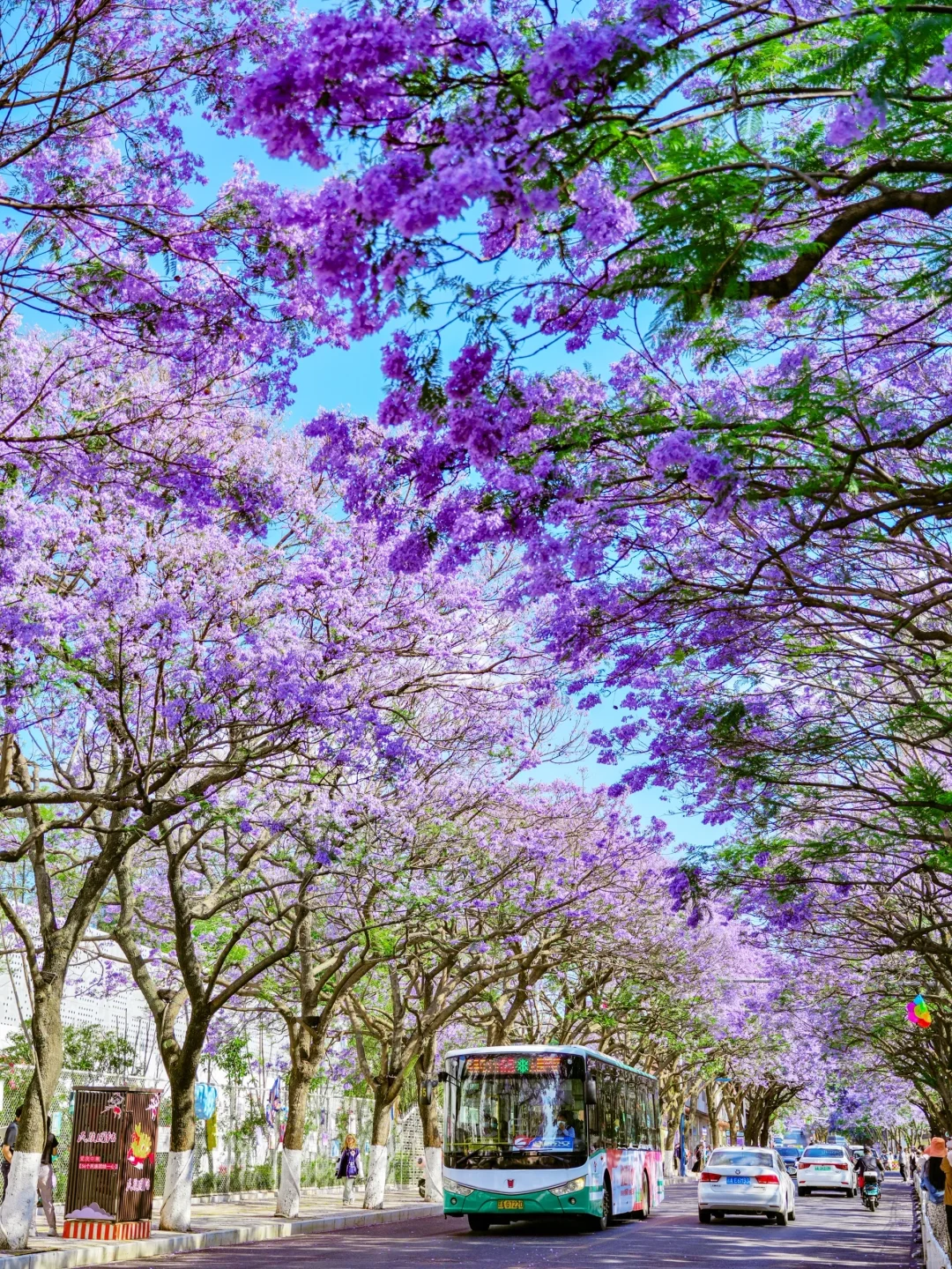 人生建议：春天一定要去趟昆明！附赏花攻略💐