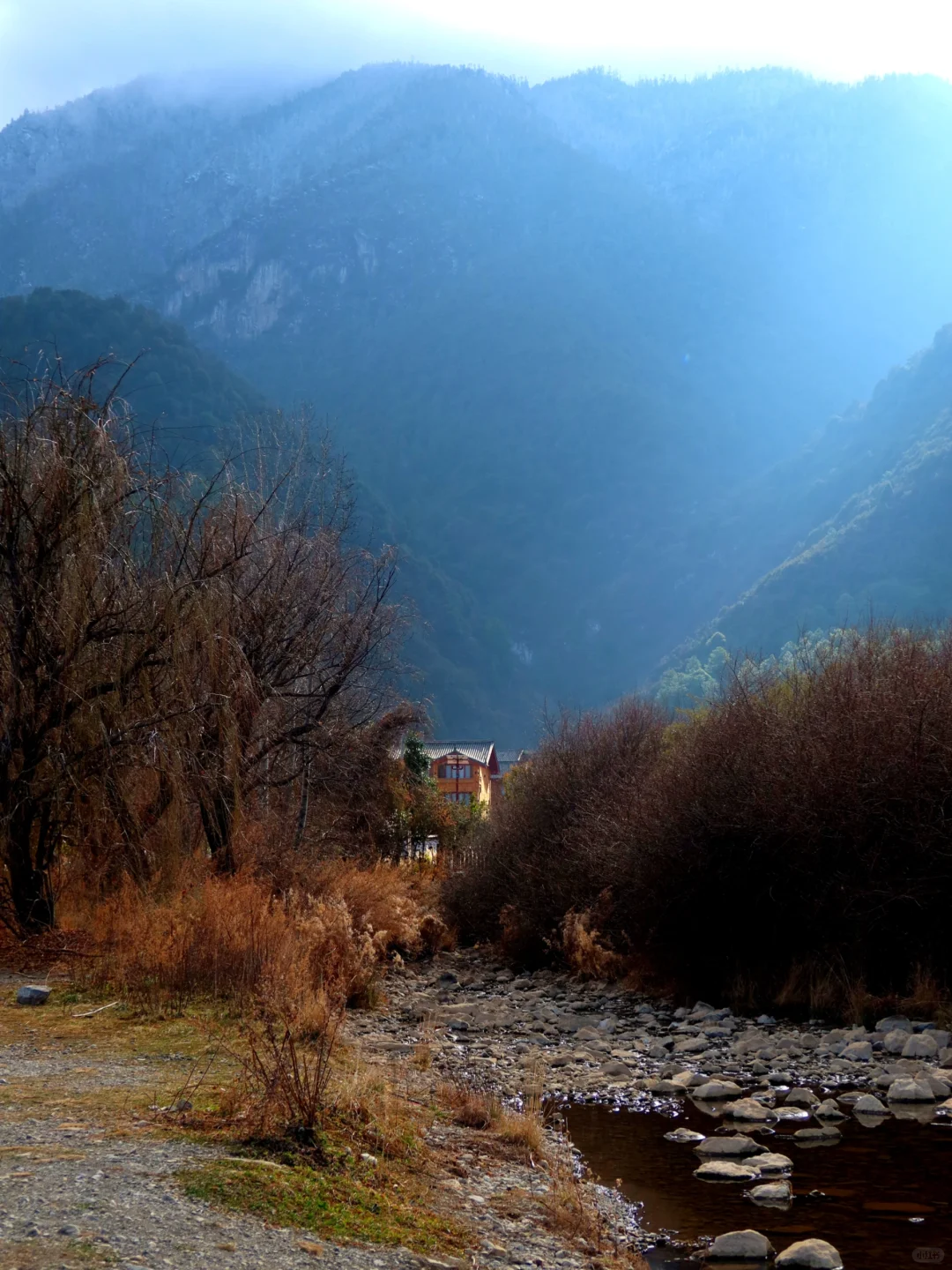 旅游是工作日的动力🥹