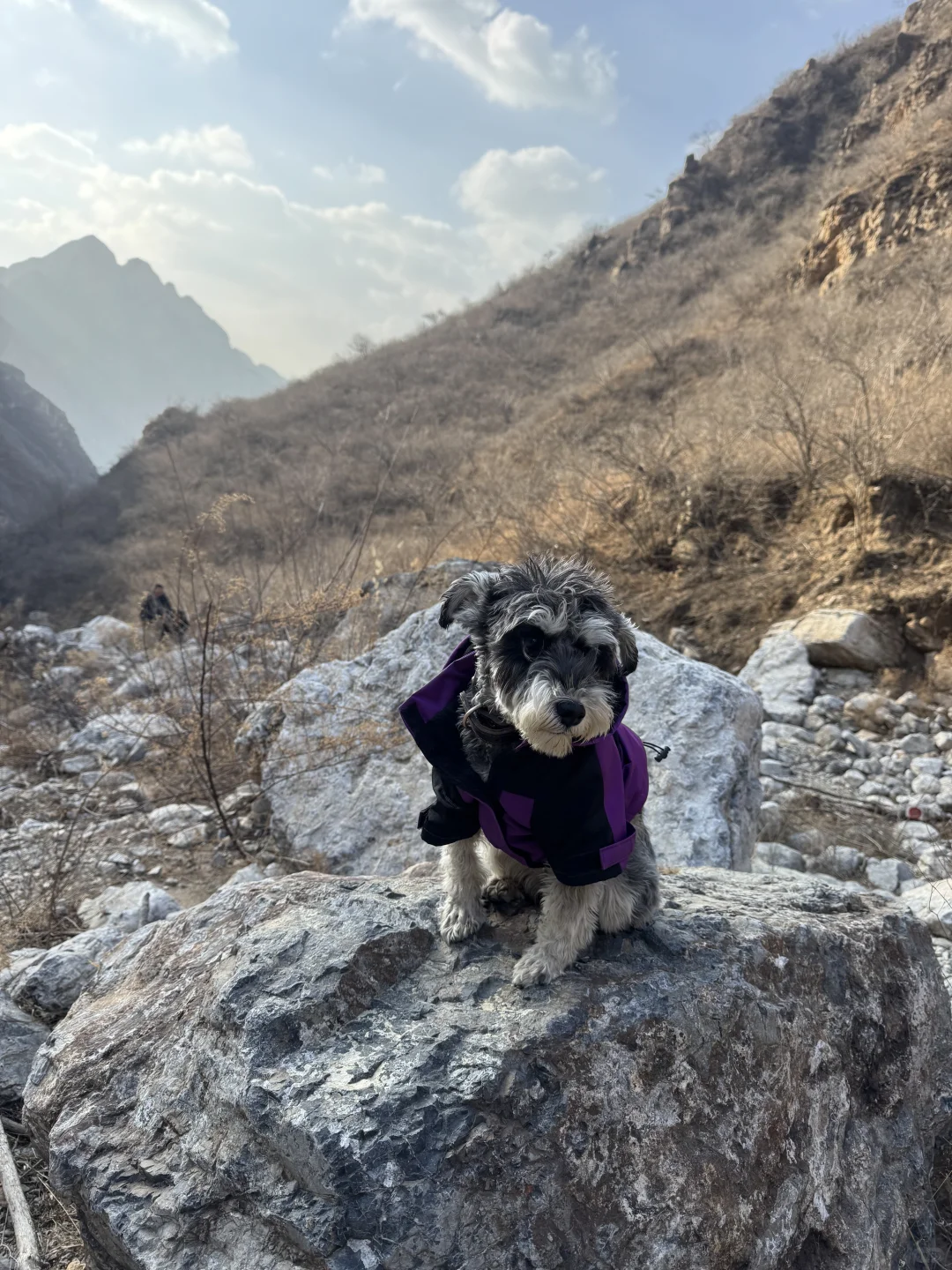 不是国外！在北京！发朋友圈被问爆了