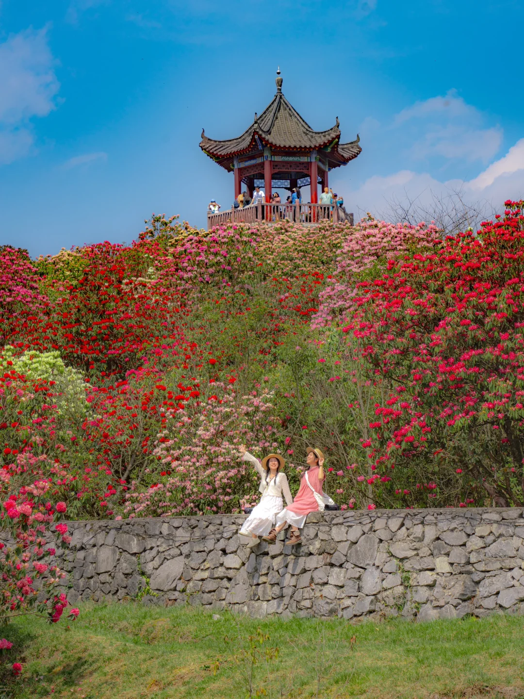 高铁直达！被春天漫山杜鹃花海🌸美哭了😭😭