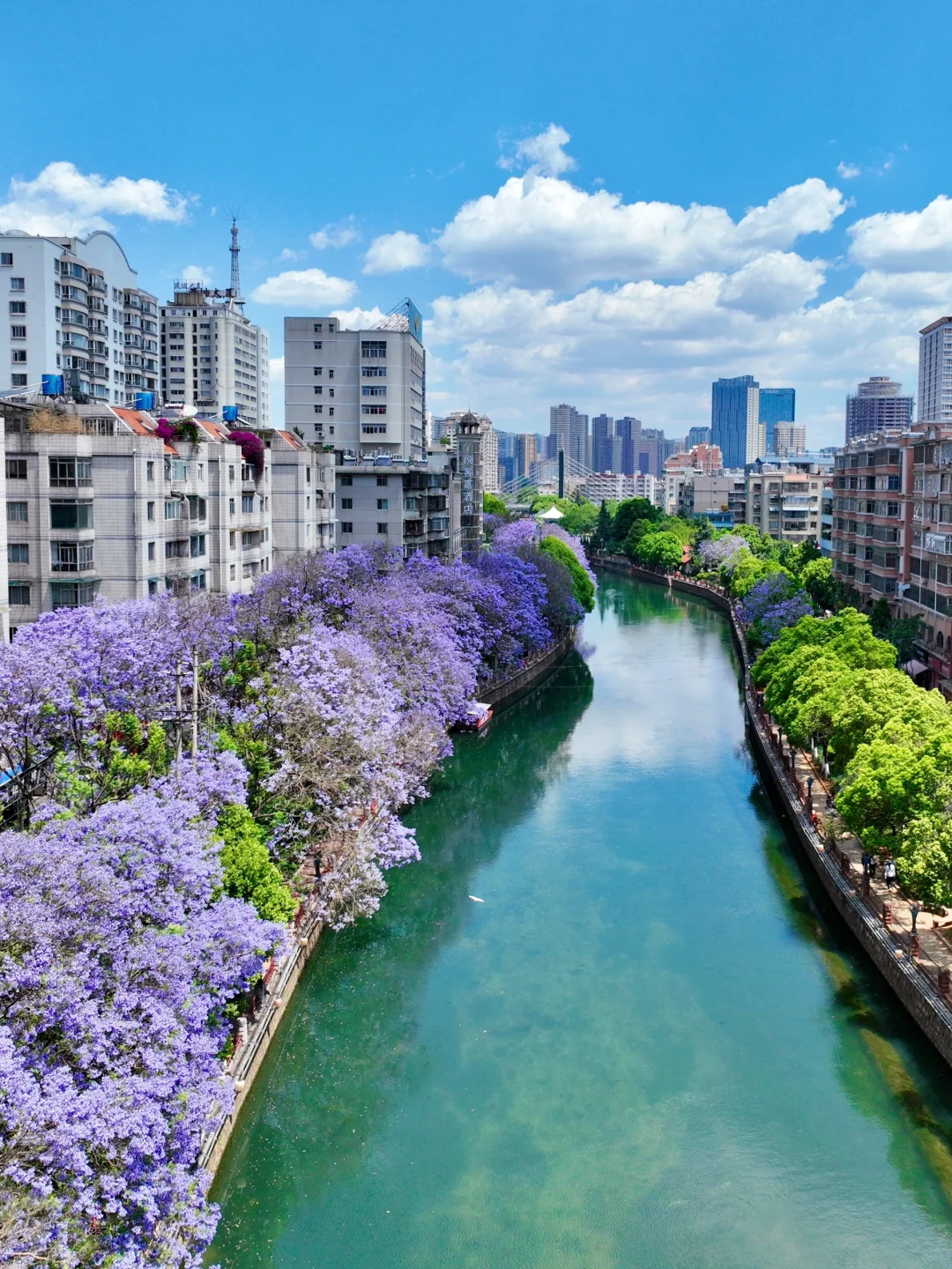 人生建议：春天一定要去趟昆明！附赏花攻略💐