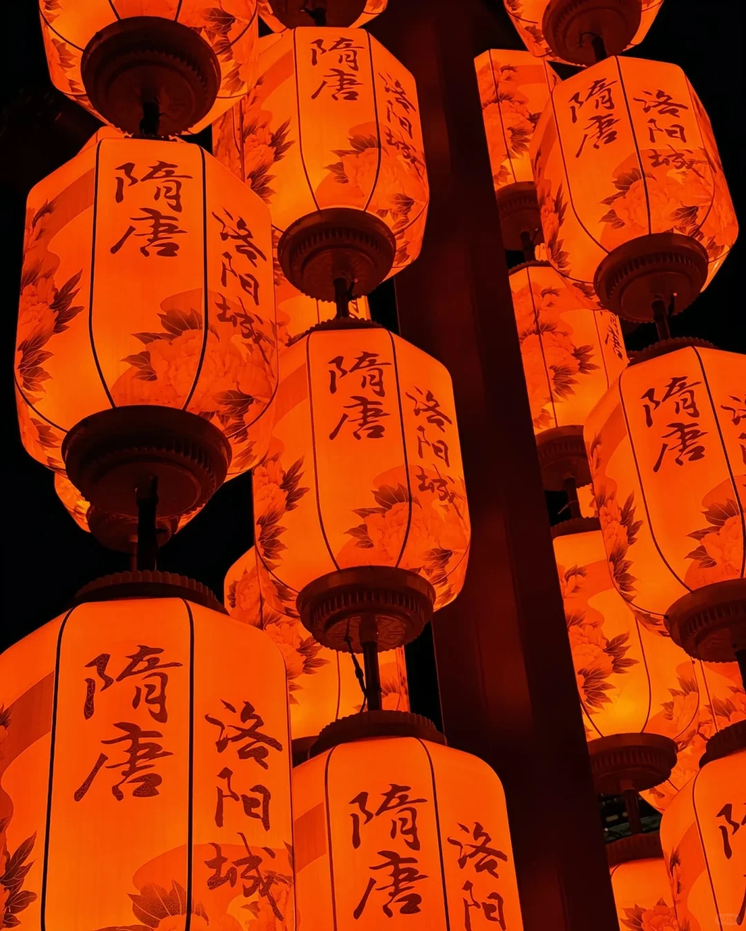 来洛阳一定要看的美景！🔥🔥🔥