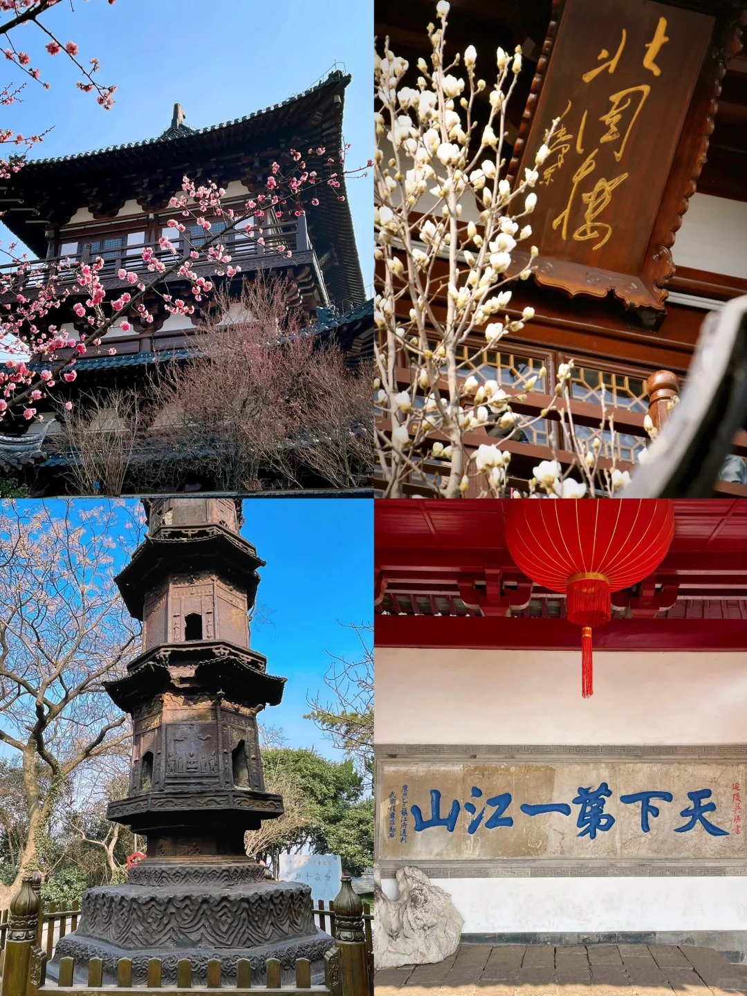 🌈镇江| 3-4月来真的很香，人少景美！