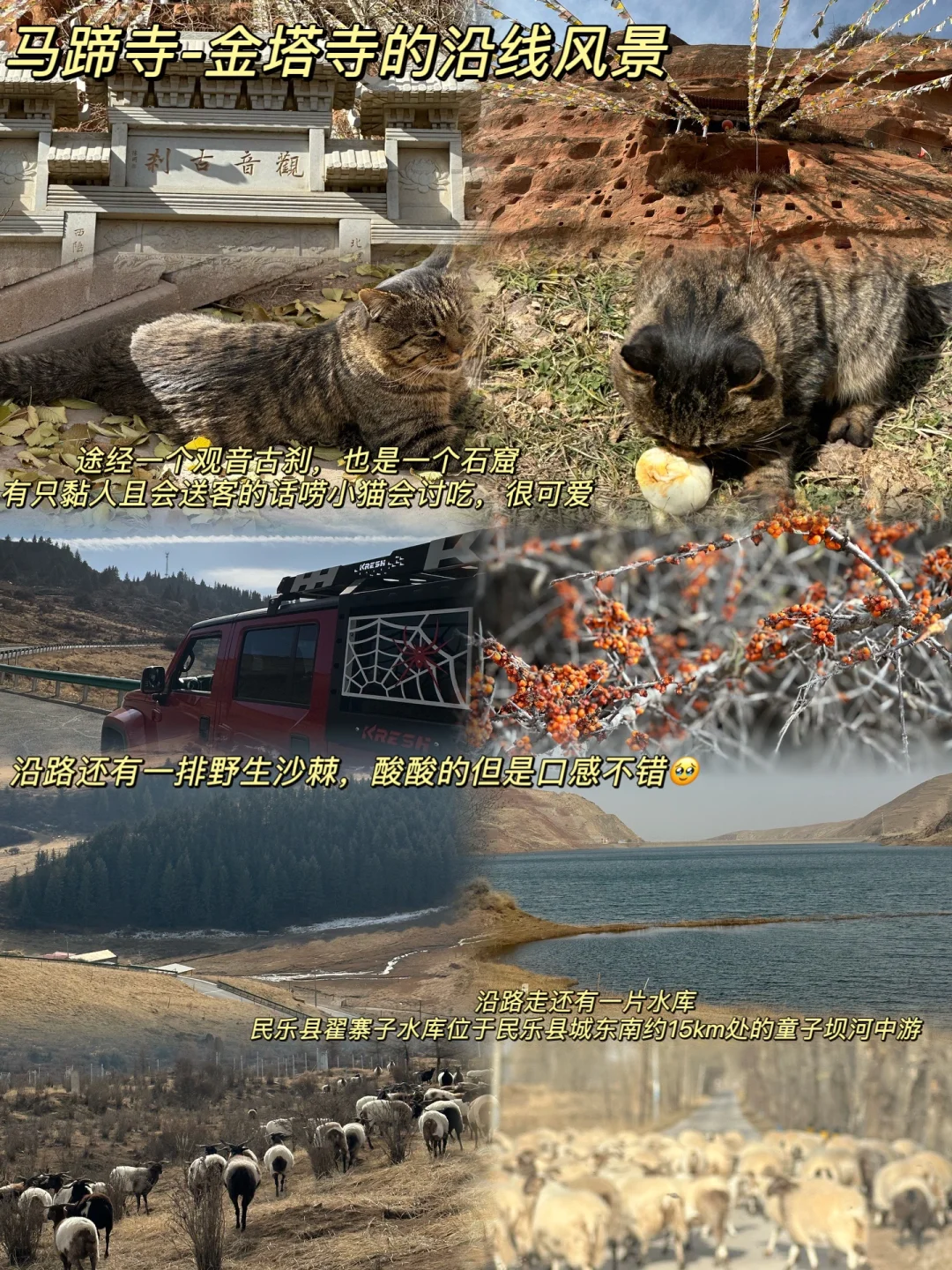 想和全世界安利的宝藏城市——张掖！