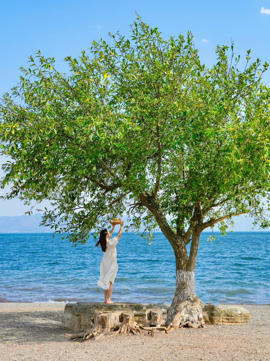 人生建议：春天一定要去趟昆明！附赏花攻略💐