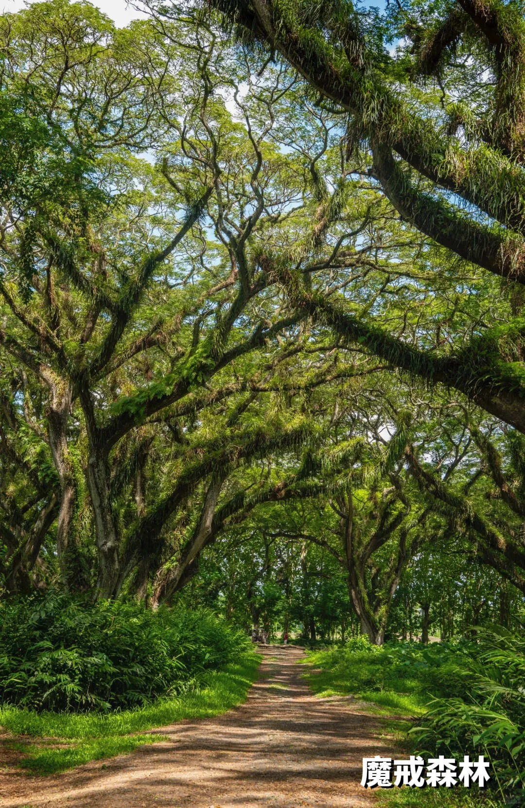 2025印度尼西亚旅游最值得去的9大绝美景点