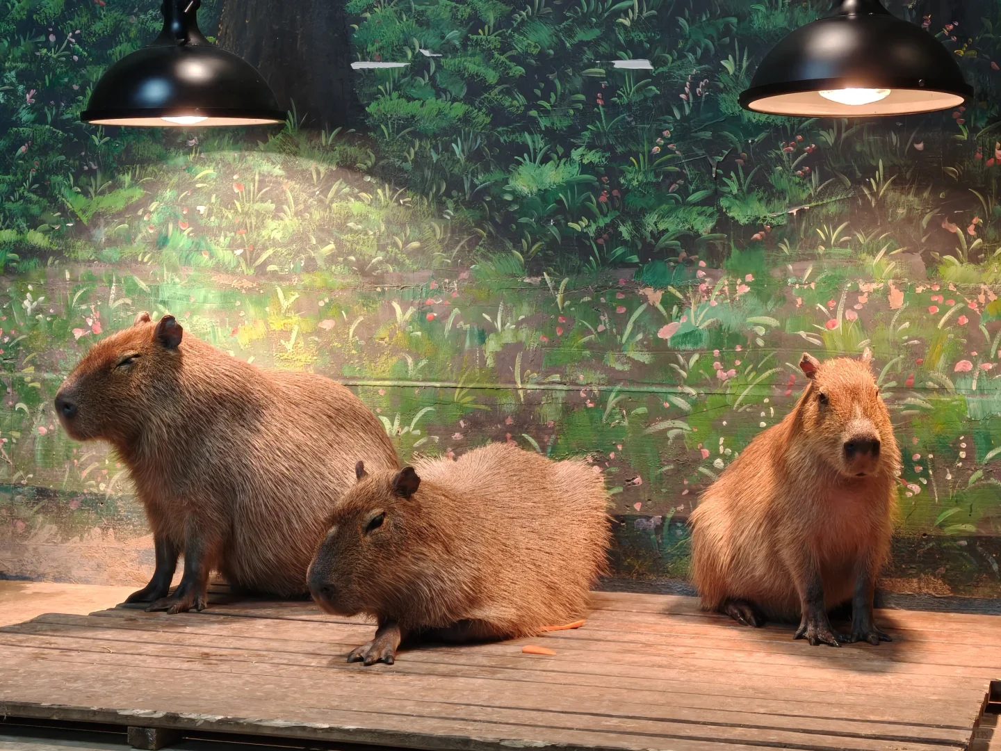 济南两天一夜旅游攻略