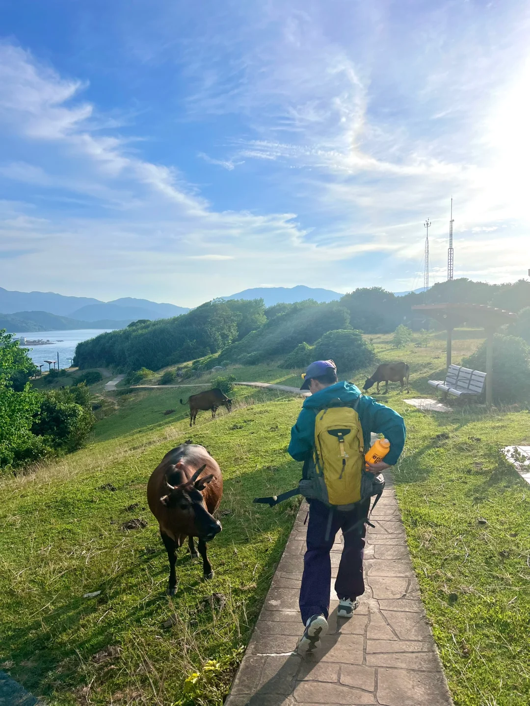 香港·这才是牛马呆的地方 20港币直达的快乐