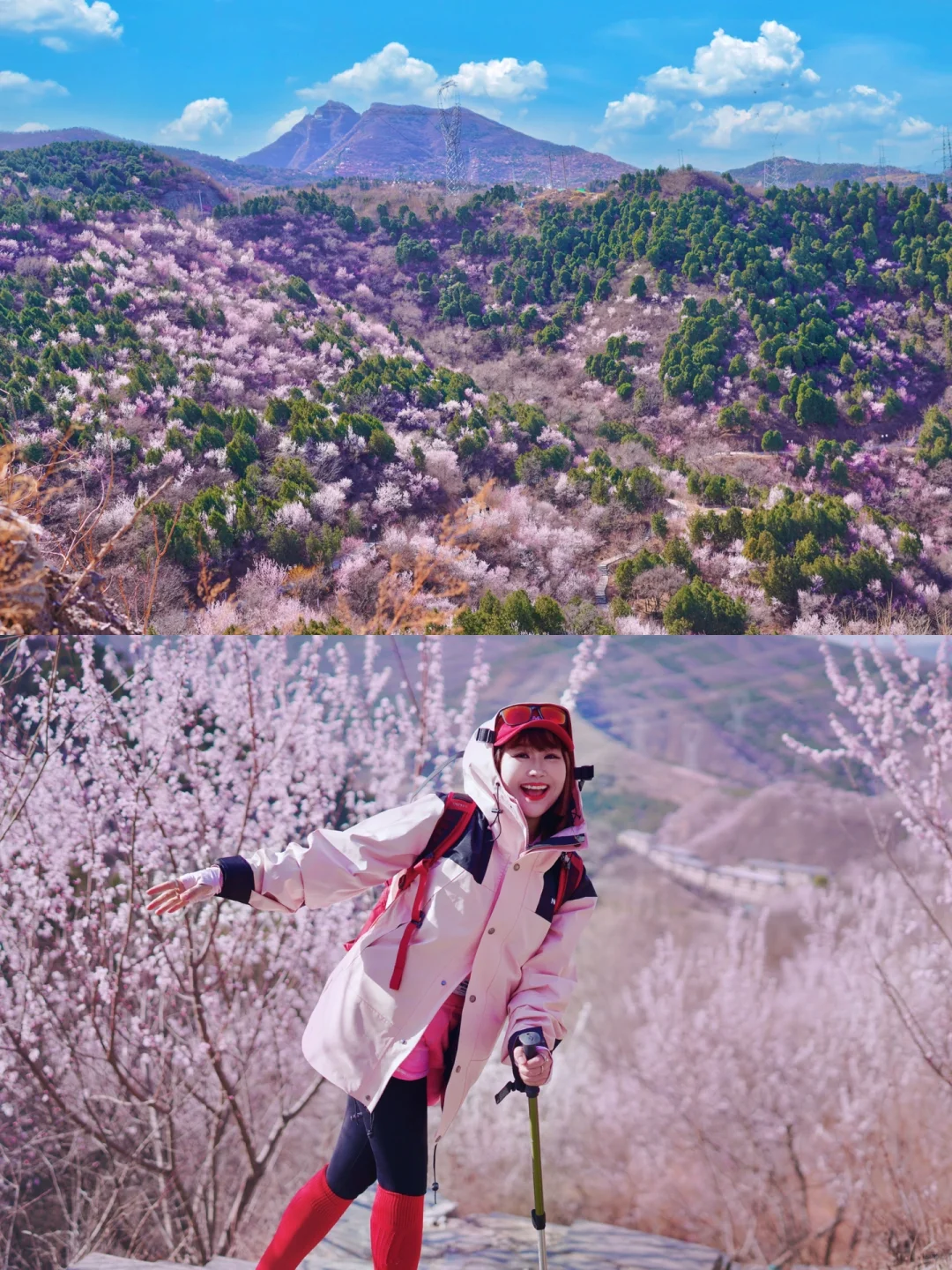 北京踏春🌸11个老幼赏花登山步道🍃不费腿
