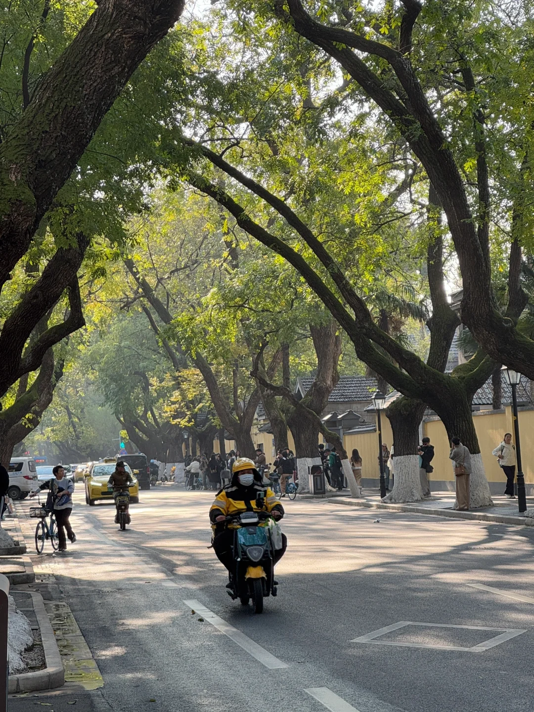 📍南京|一个人72小时特种兵攻略‼️