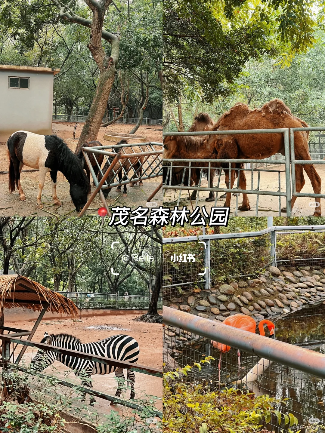 茂名|春节十大游玩景点🏮本地人推荐 收藏‼️