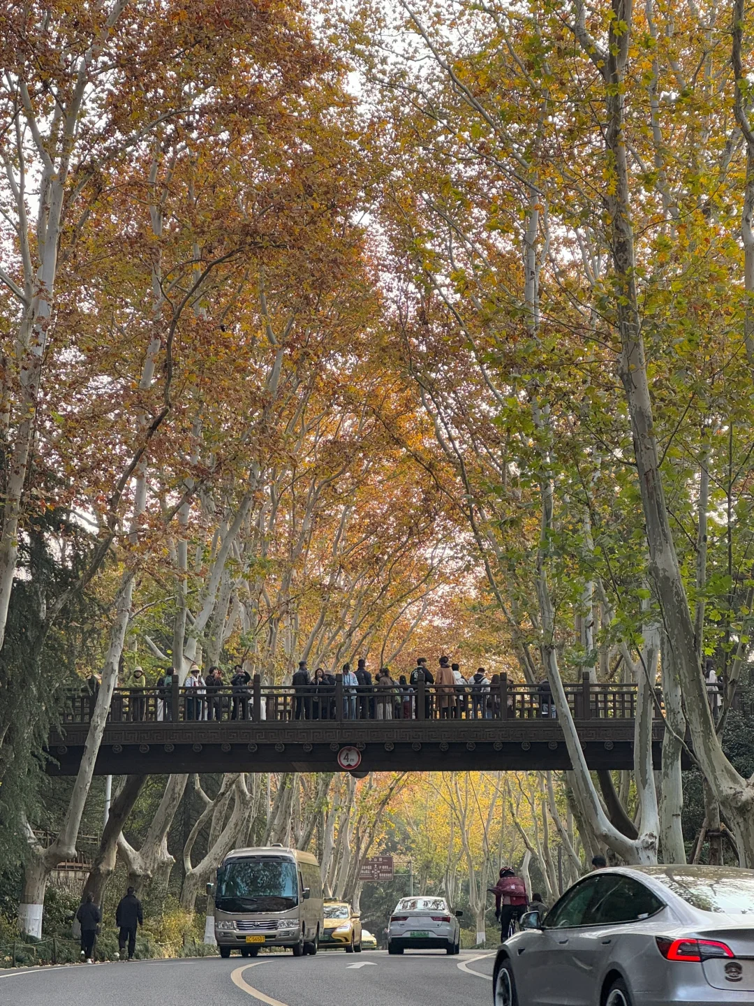 📍南京|一个人72小时特种兵攻略‼️