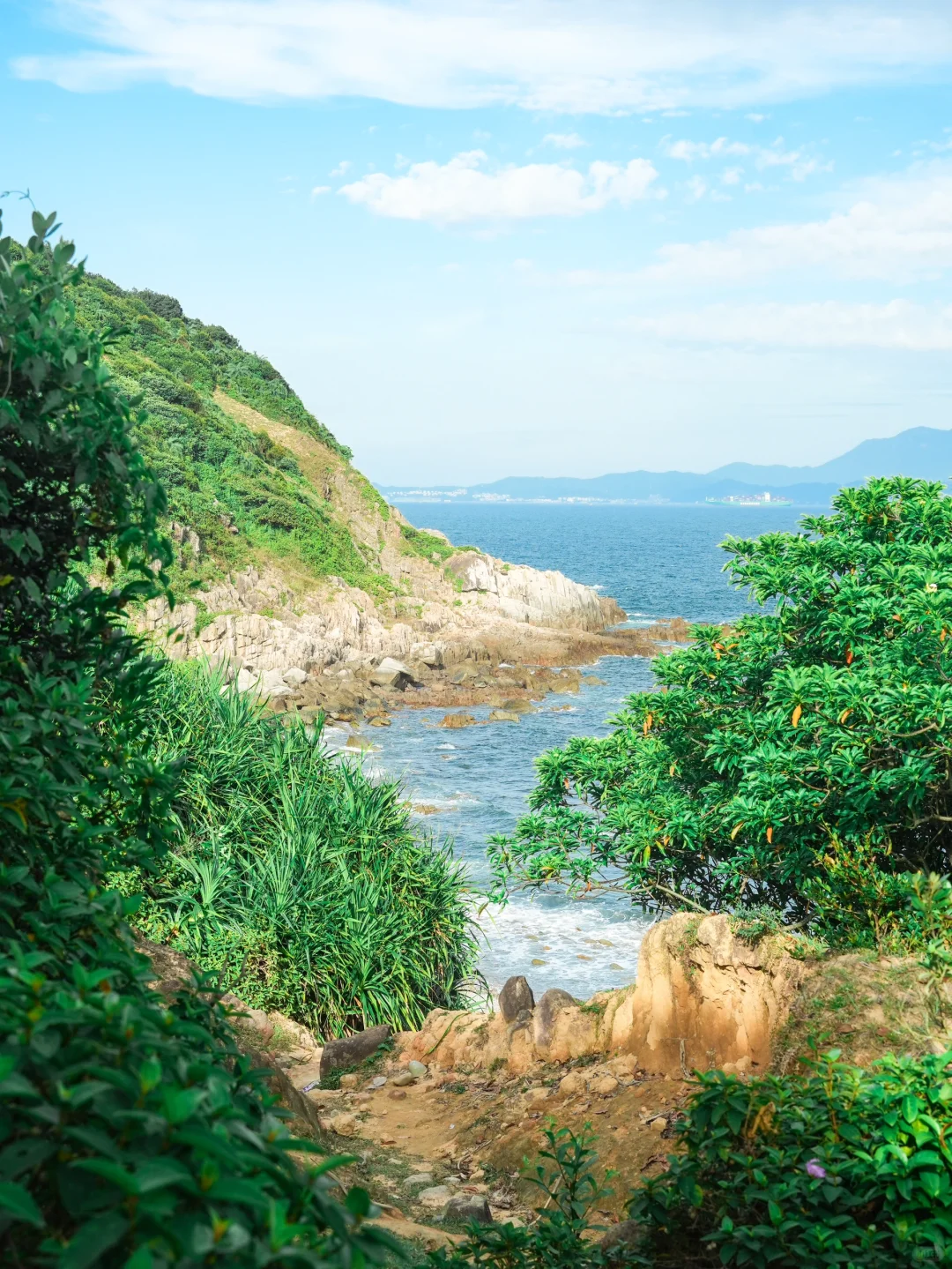 香港·这才是牛马呆的地方 20港币直达的快乐