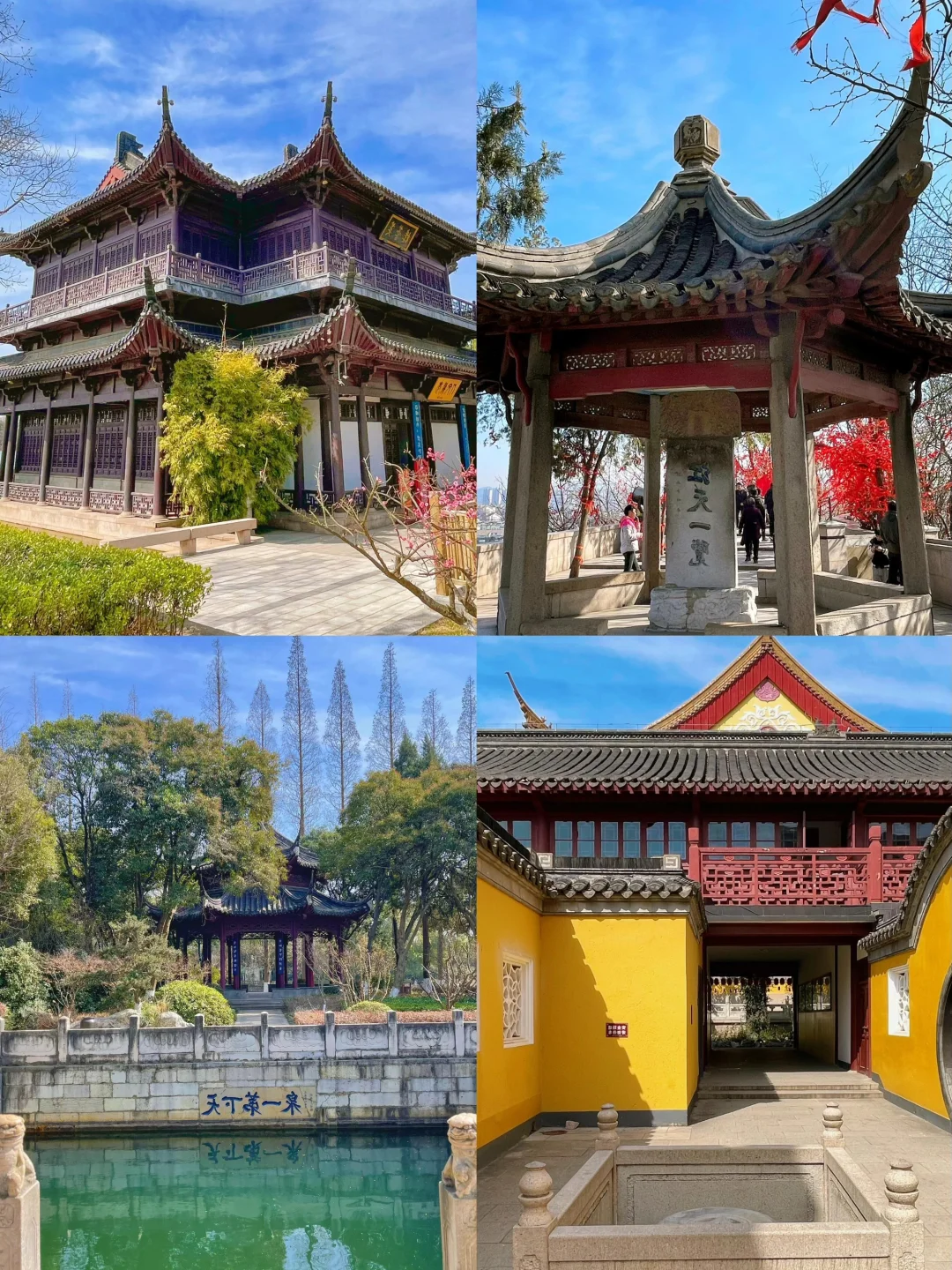 🌈镇江| 3-4月来真的很香，人少景美！