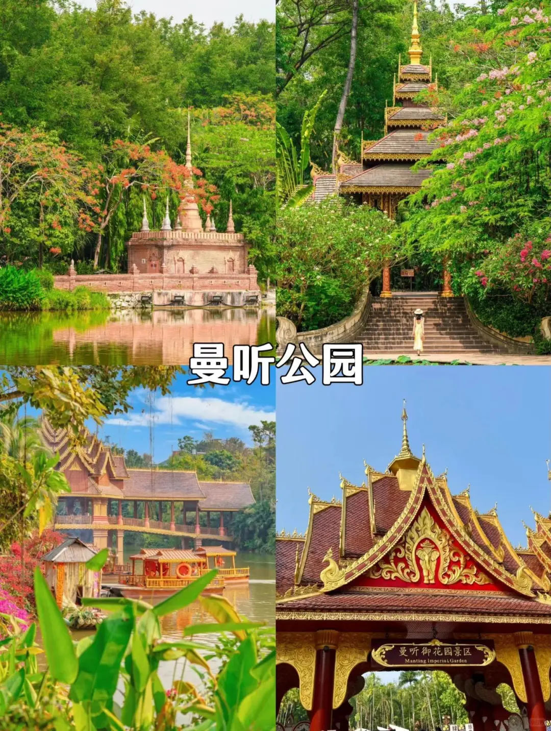 随机抽查：来西双版纳旅行你去了哪些景点❓