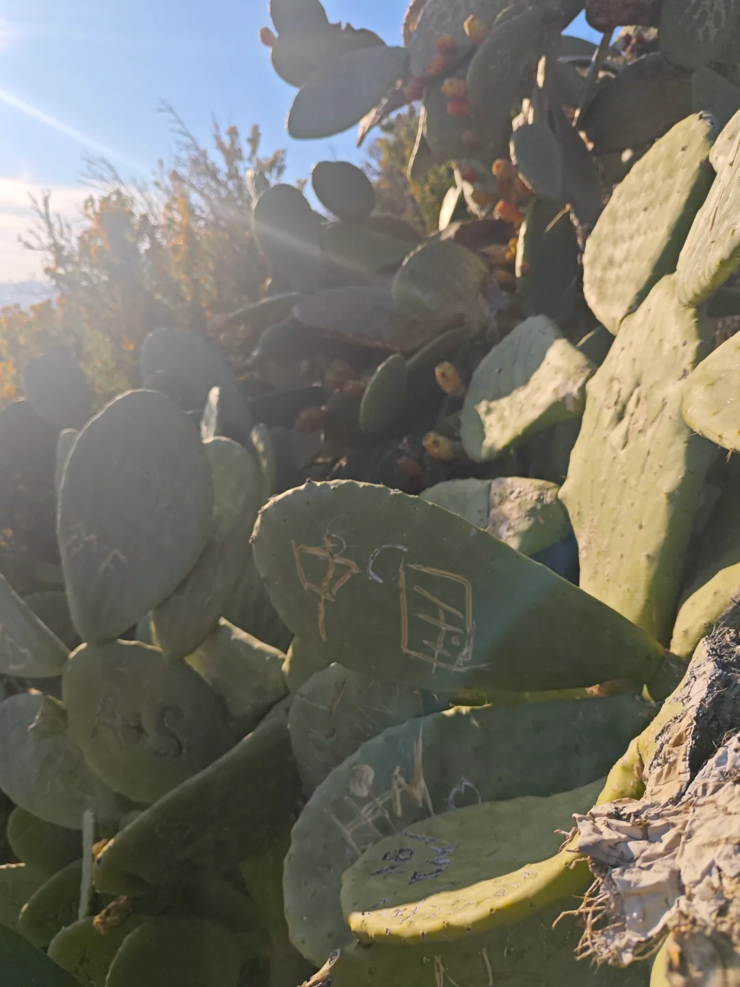 希腊市中心景点 狼山