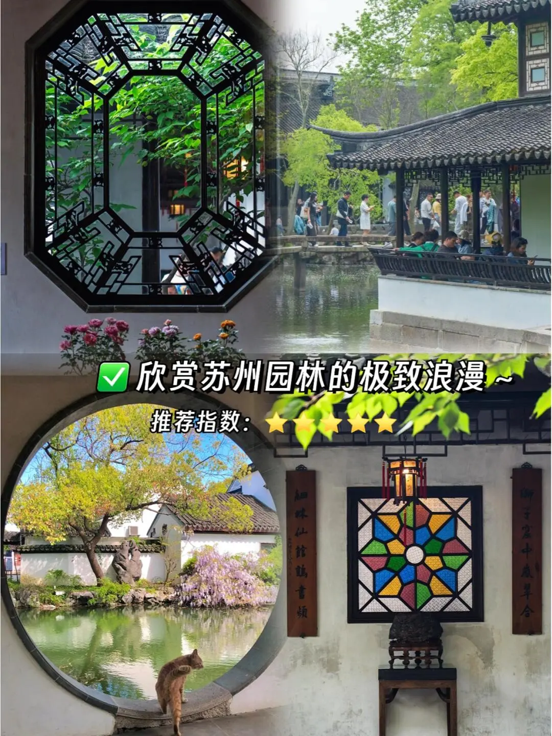 杭州、苏州、乌镇旅游攻略|||上有天