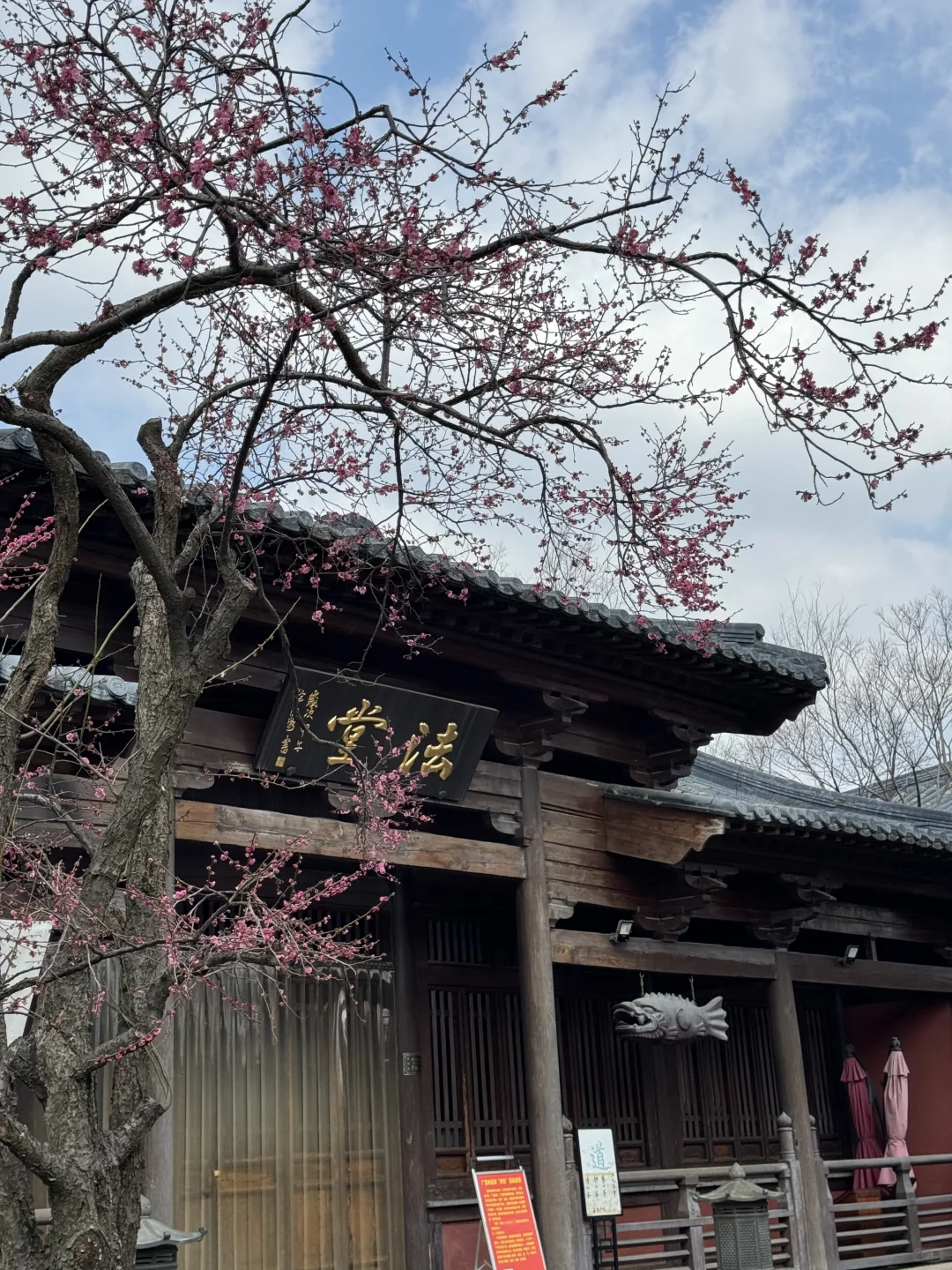 广富林遗址是松江必打卡的景点之一