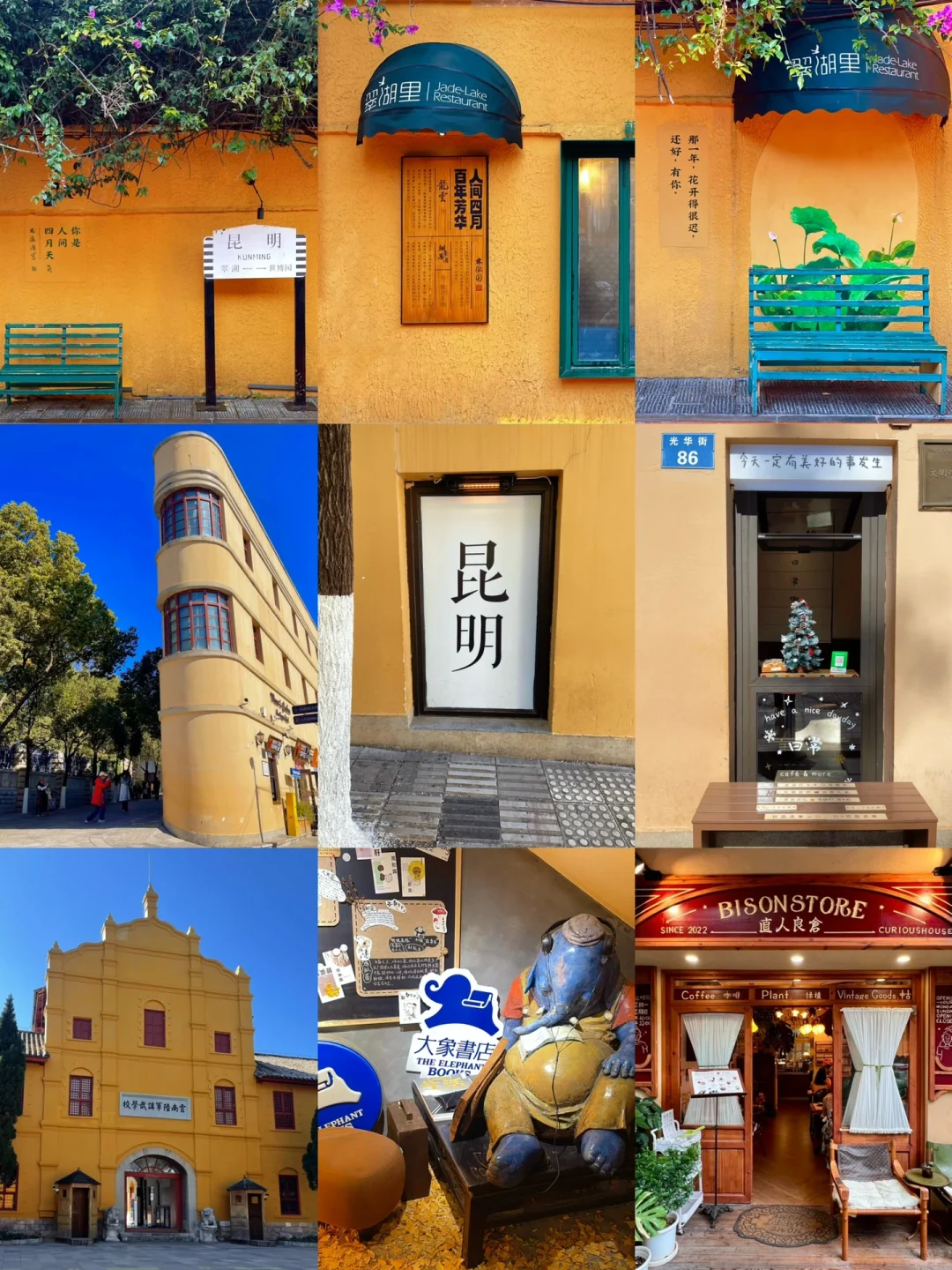 🌿昆明三天旅行攻略｜CityWalk看海鸥逛石林