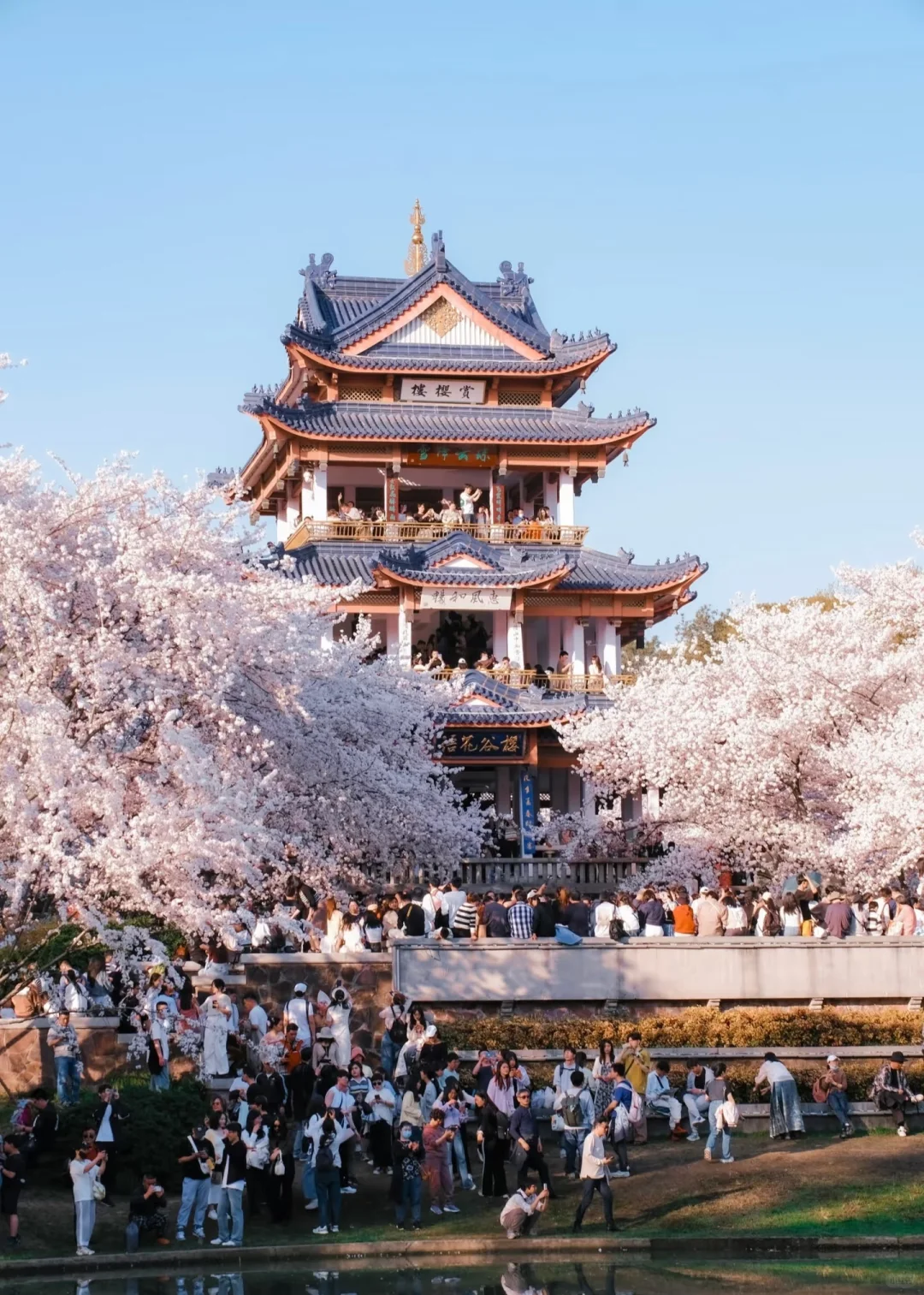 🔥无锡必打卡十大景点！本地人私藏攻略，