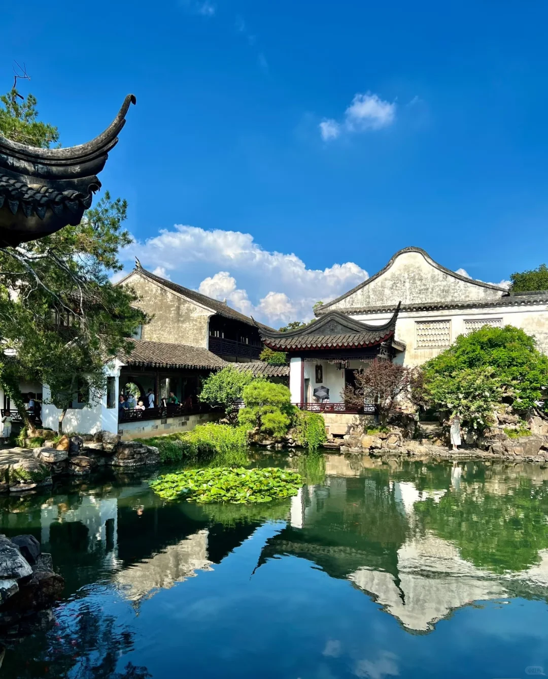🔥苏州必打卡十大景点｜本地人私藏攻略！