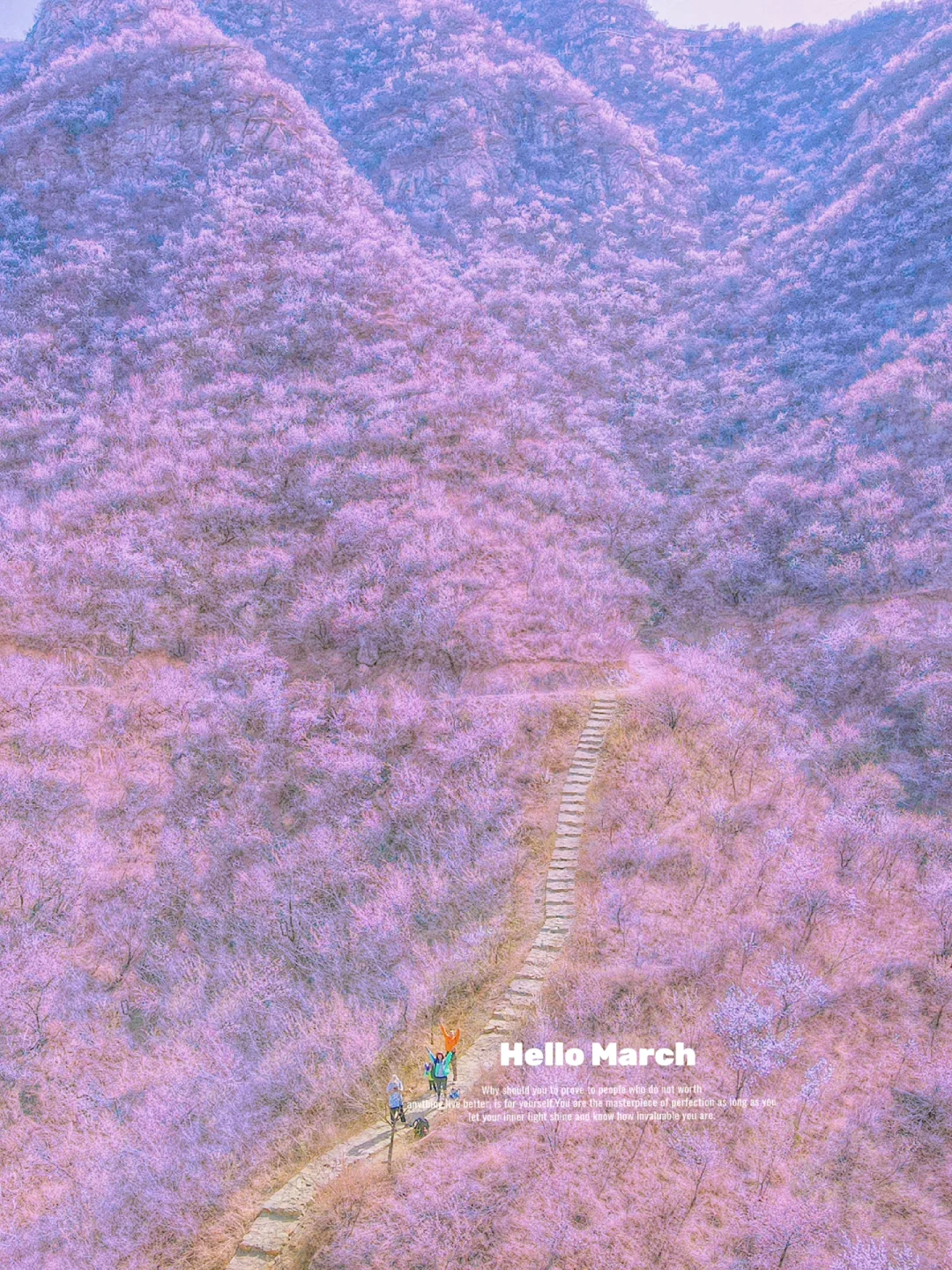 北京踏春🌸11个老幼赏花登山步道🍃不费腿