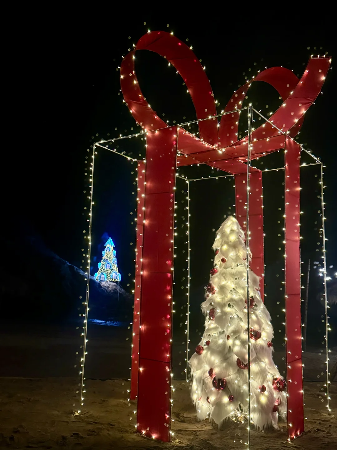 淡季的大连，live图就已经赢麻了，简直就是.