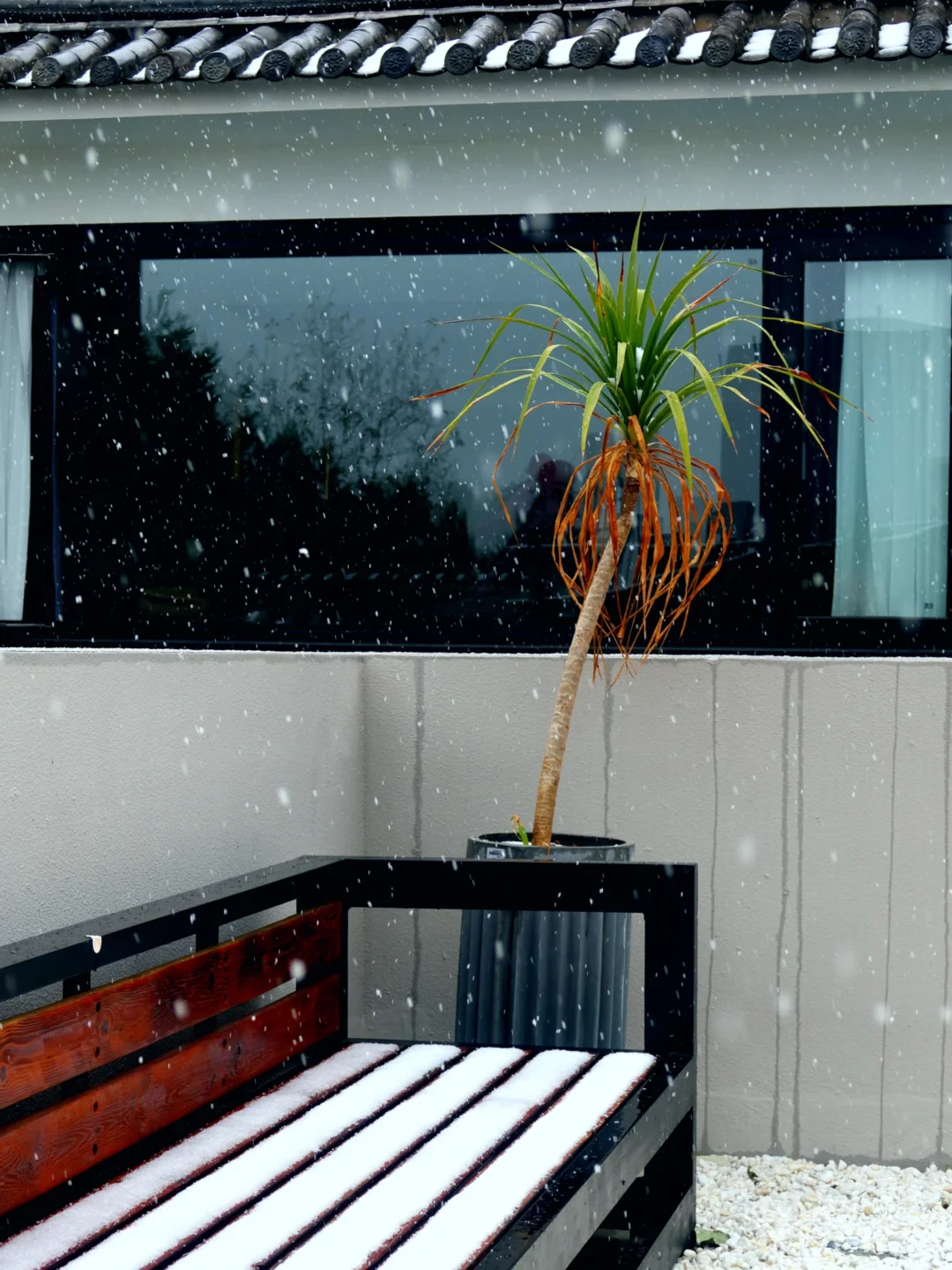 旅游是工作日的动力🥹