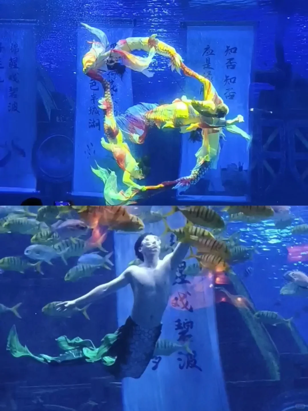 济南两天一夜旅游攻略